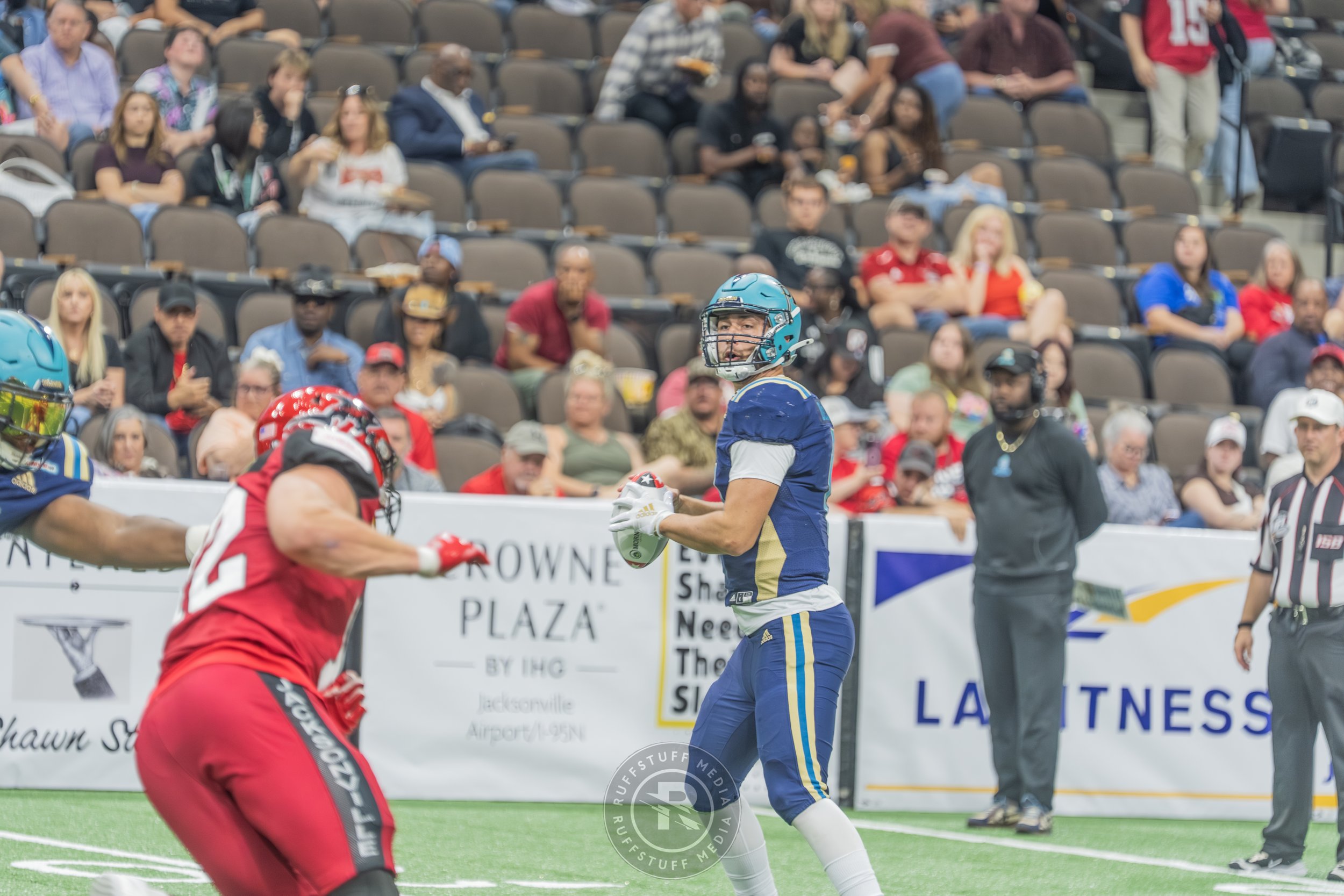 Sharks 260417-182.JPG