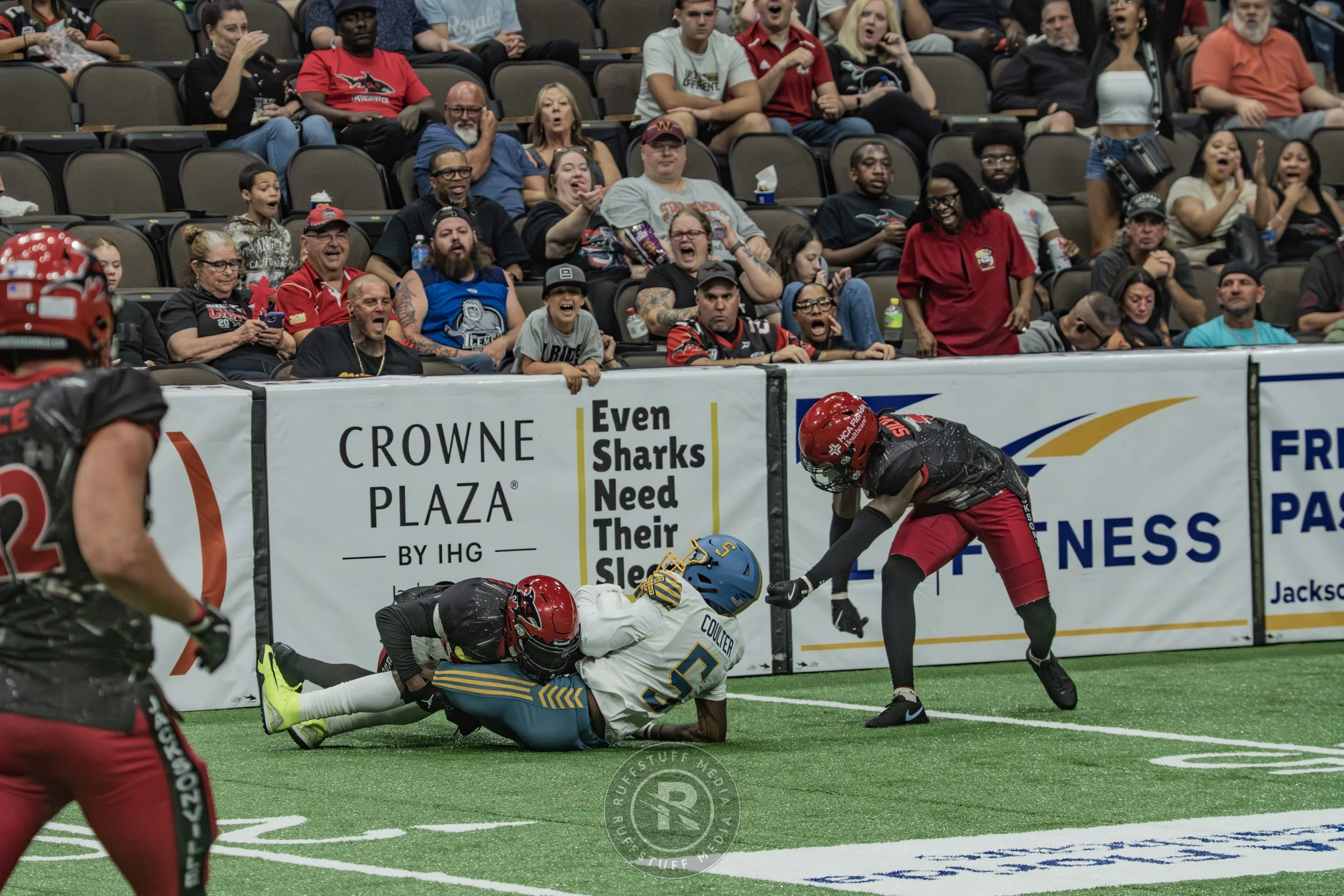 Sharks 260530-554.JPG
