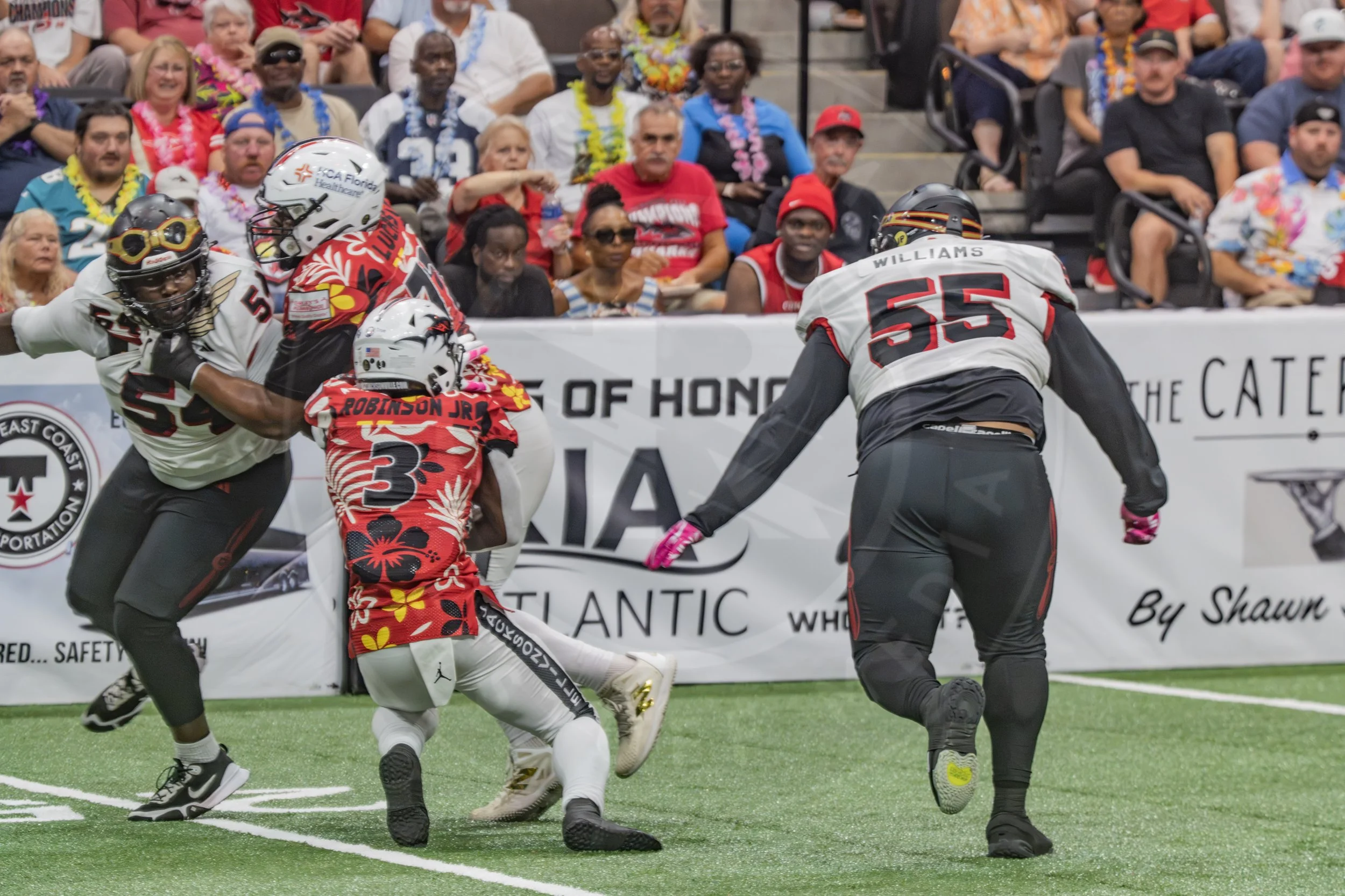 Sharks 260718-123.JPG