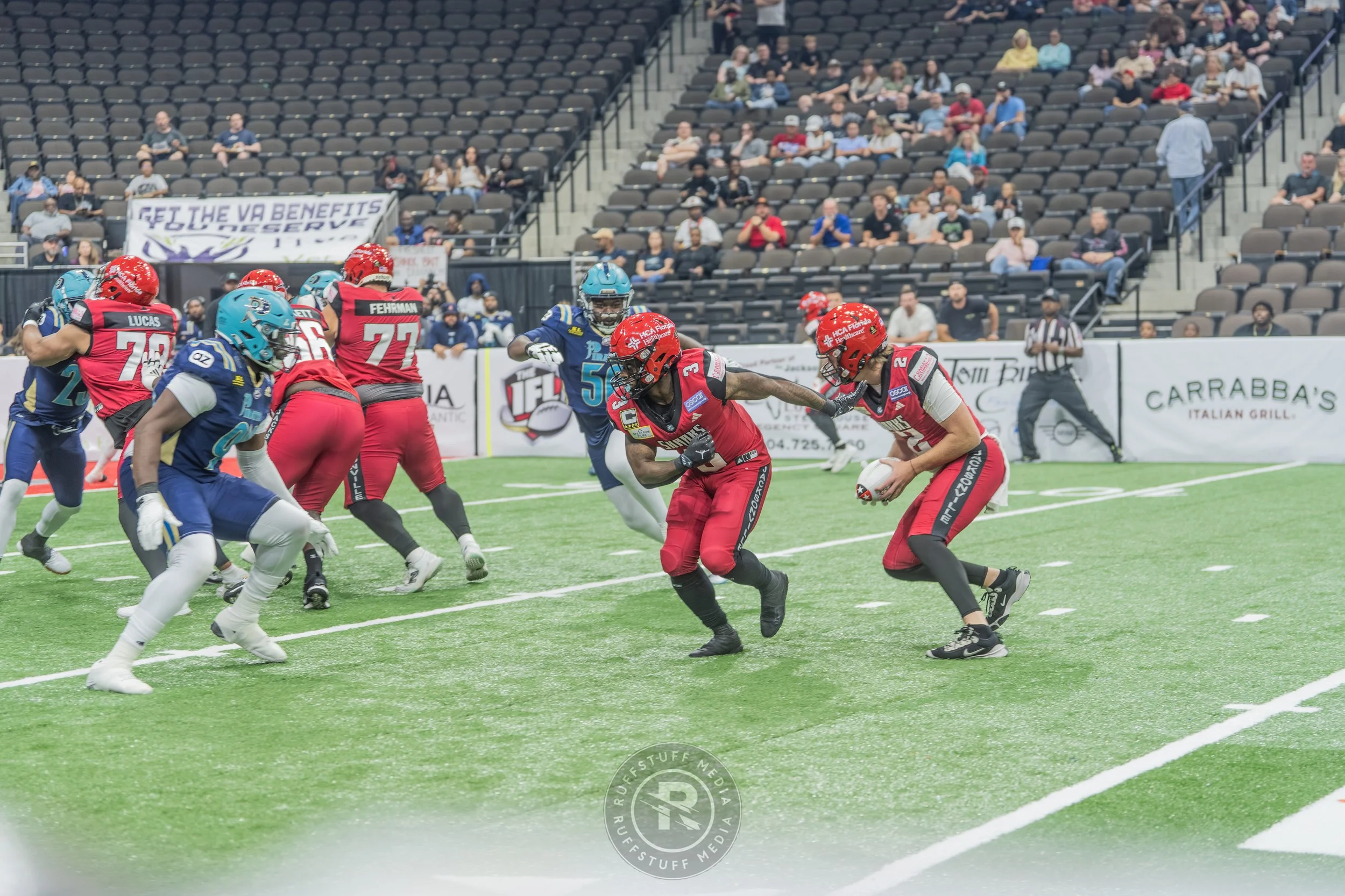 Sharks 260417-102.JPG