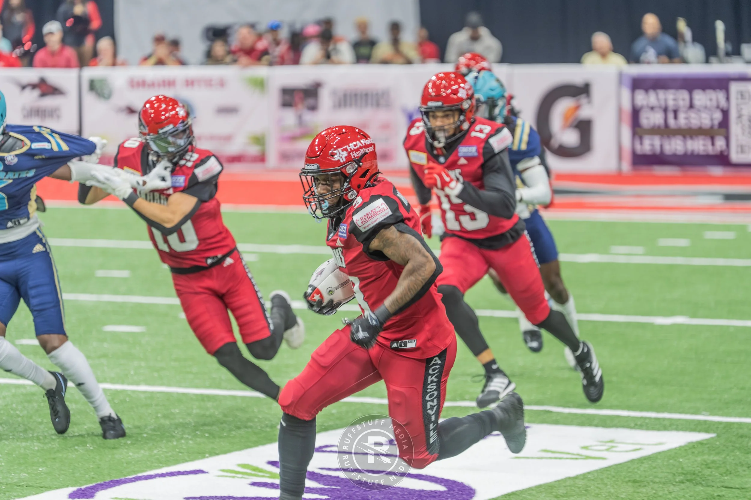 Sharks 260417-97.JPG