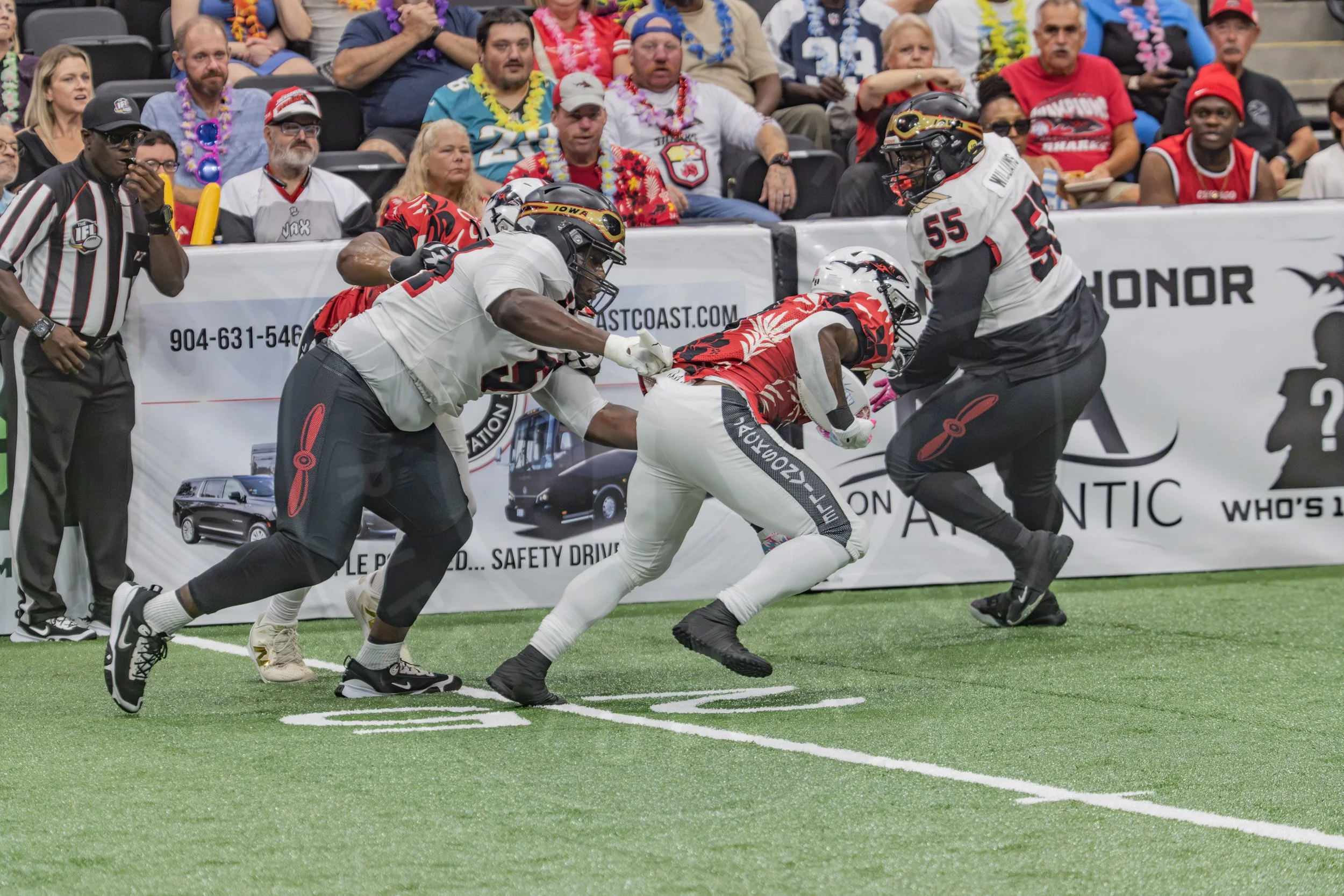 Sharks 260718-125.JPG
