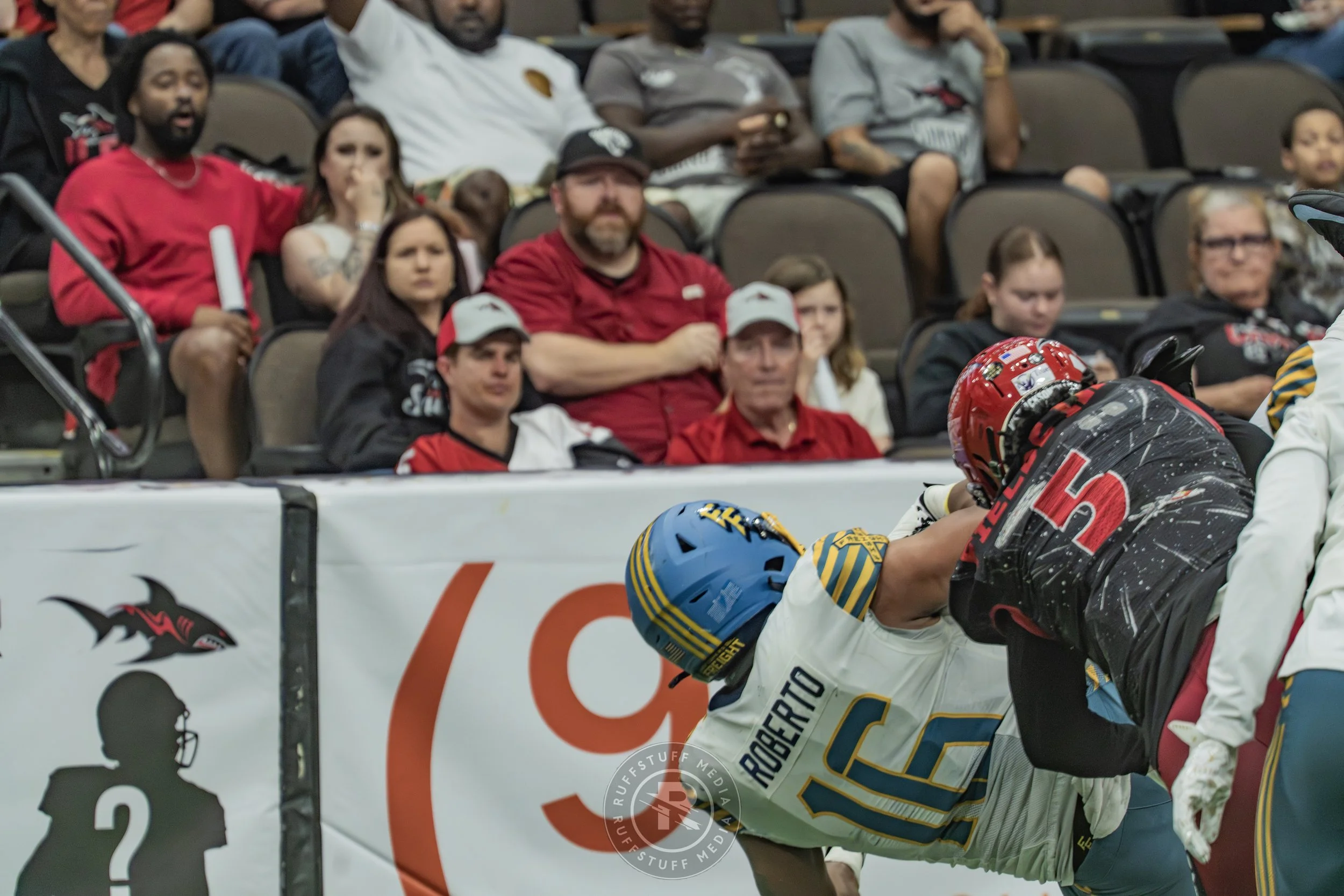 Sharks 260530-610.JPG