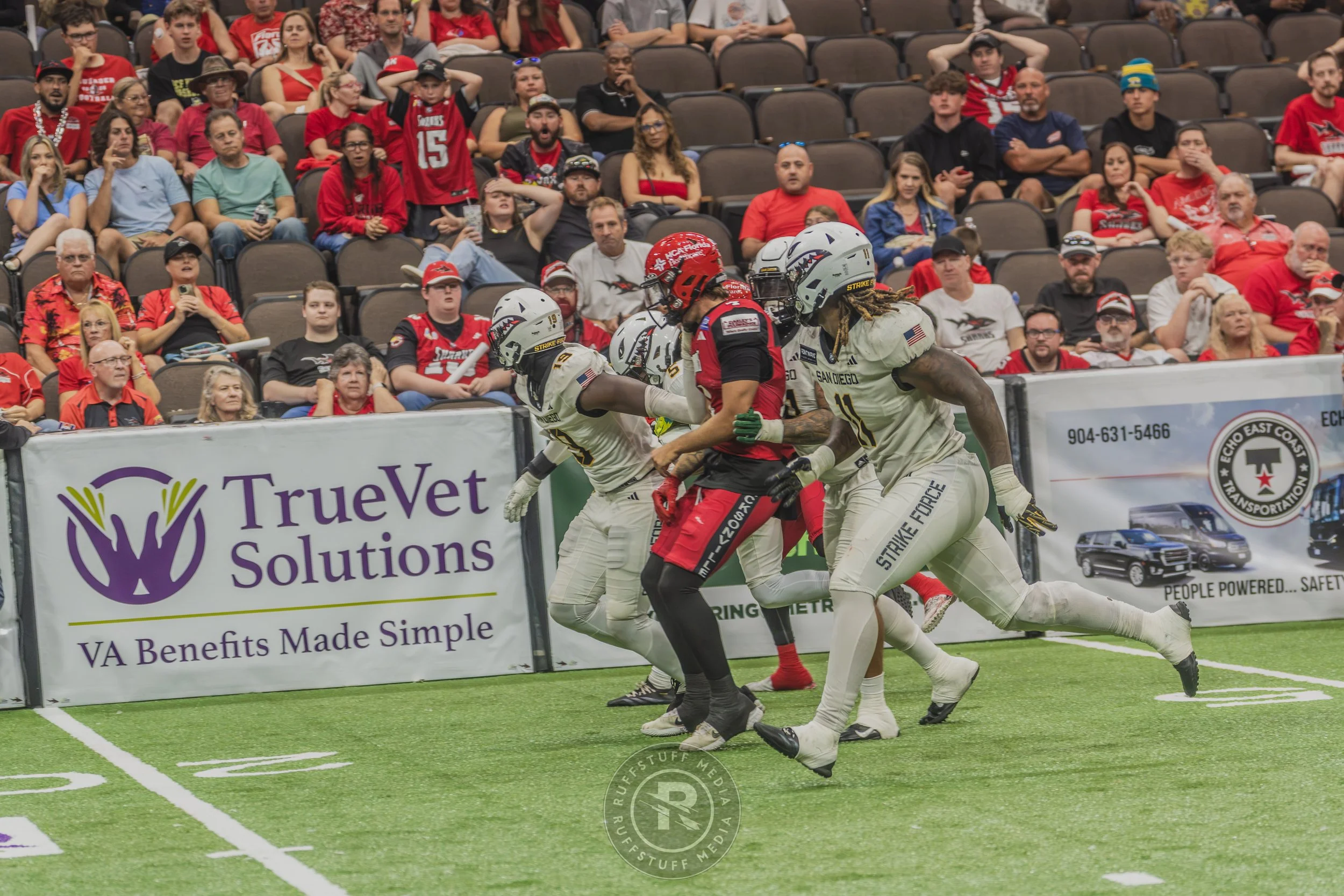 Sharks 260628-548.JPG