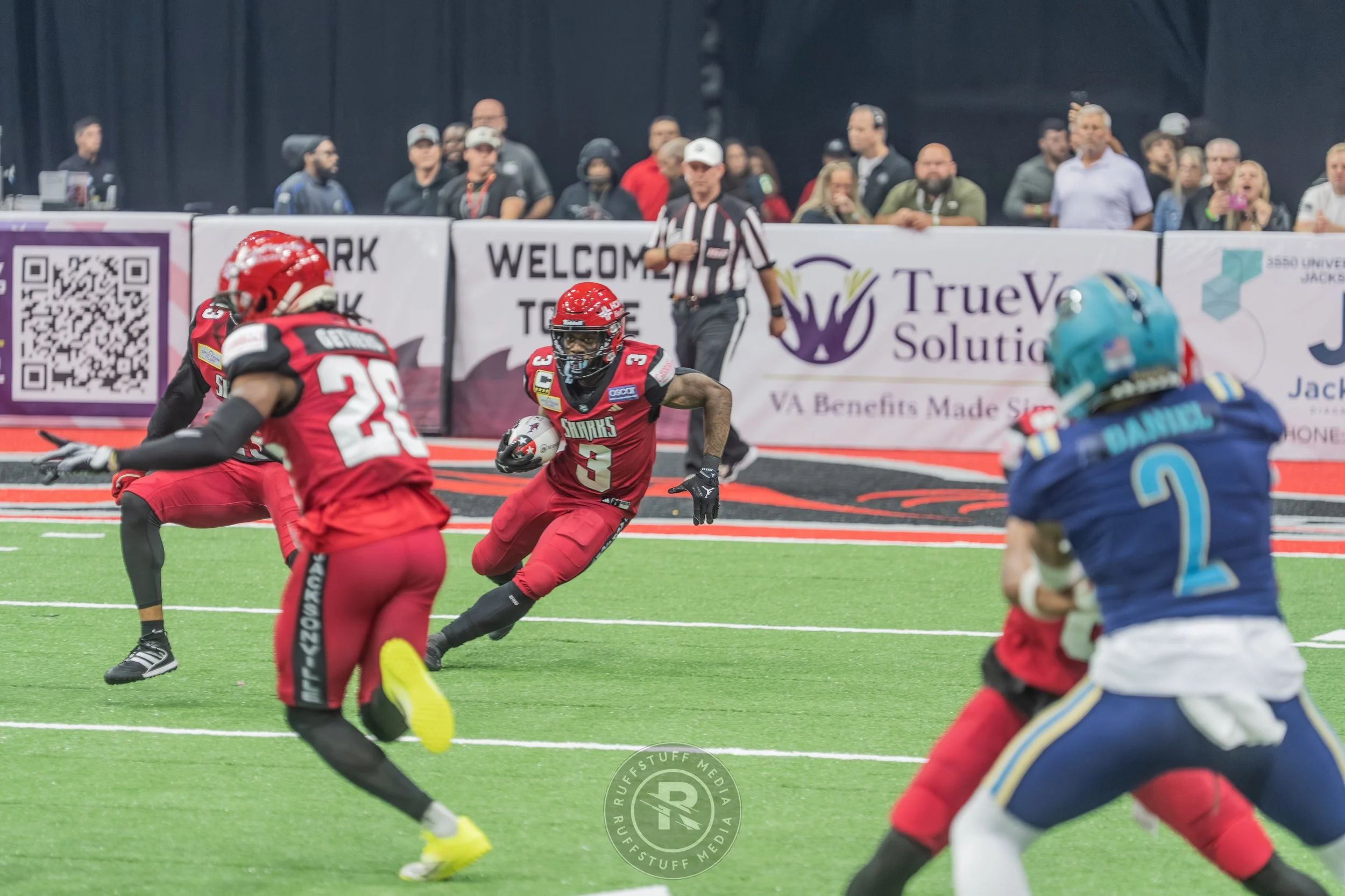 Sharks 260417-95.JPG