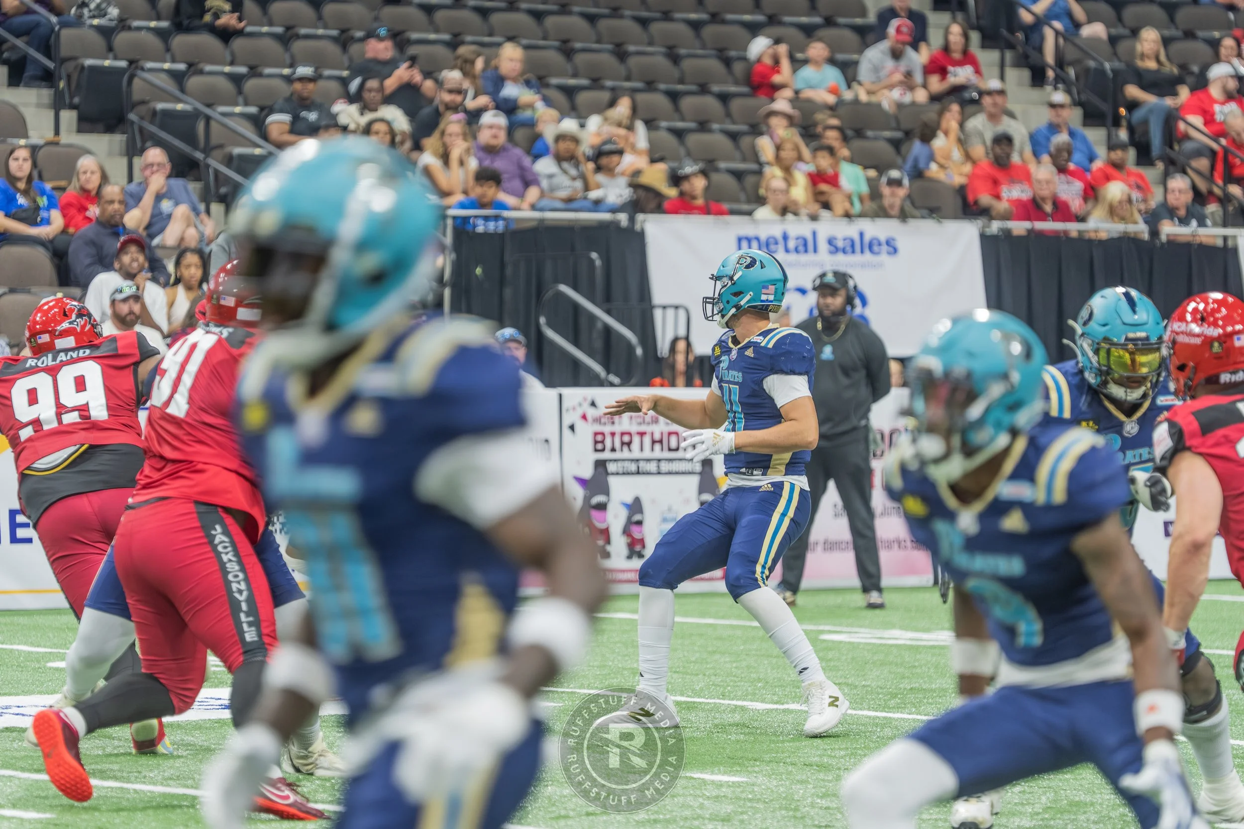 Sharks 260417-178.JPG