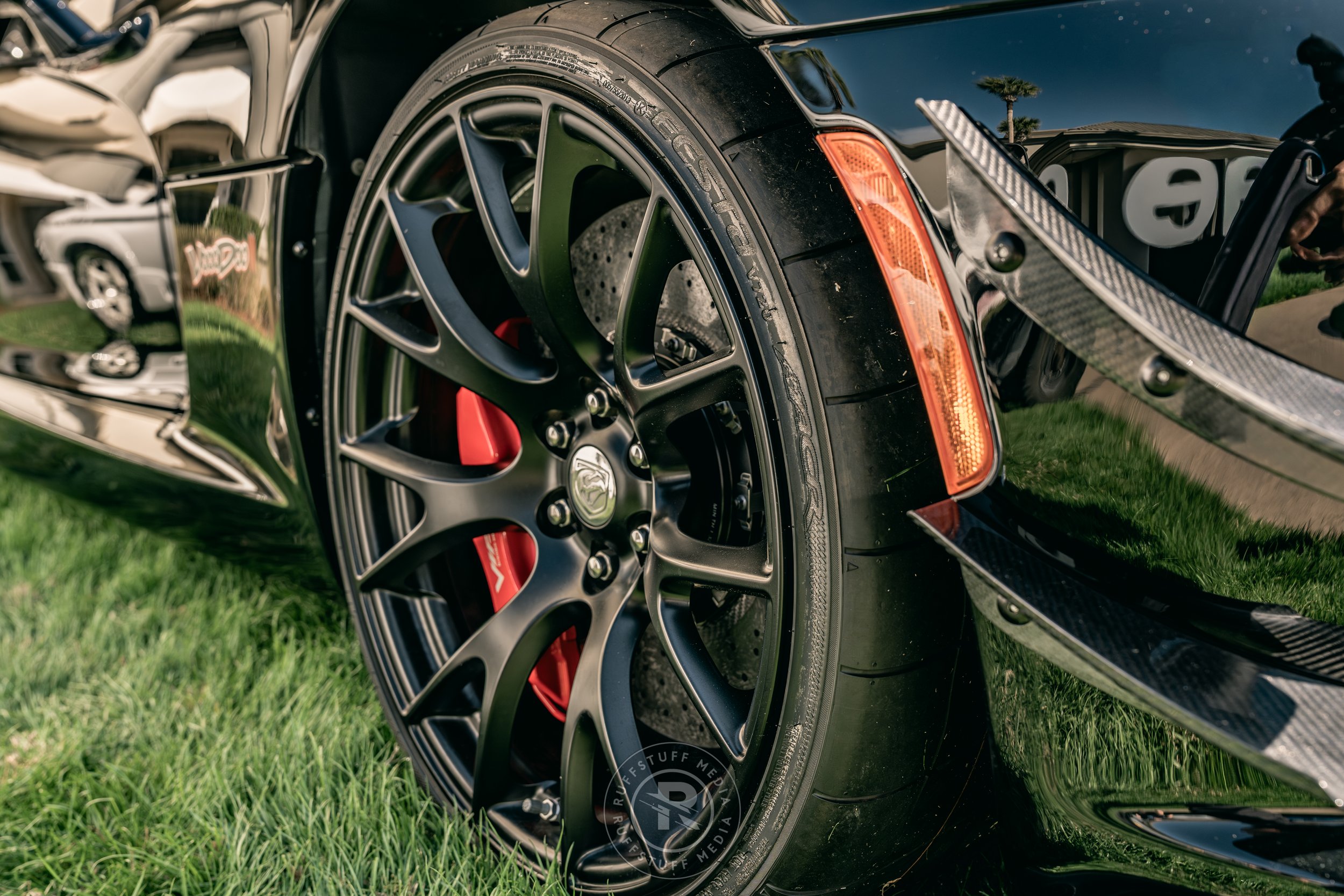 Amelia 260305-20.JPG