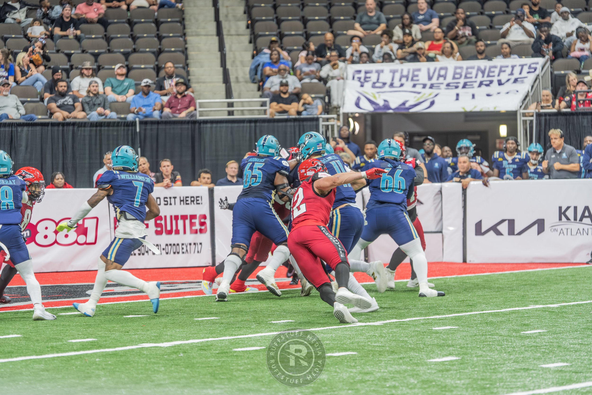 Sharks 260417-242.JPG