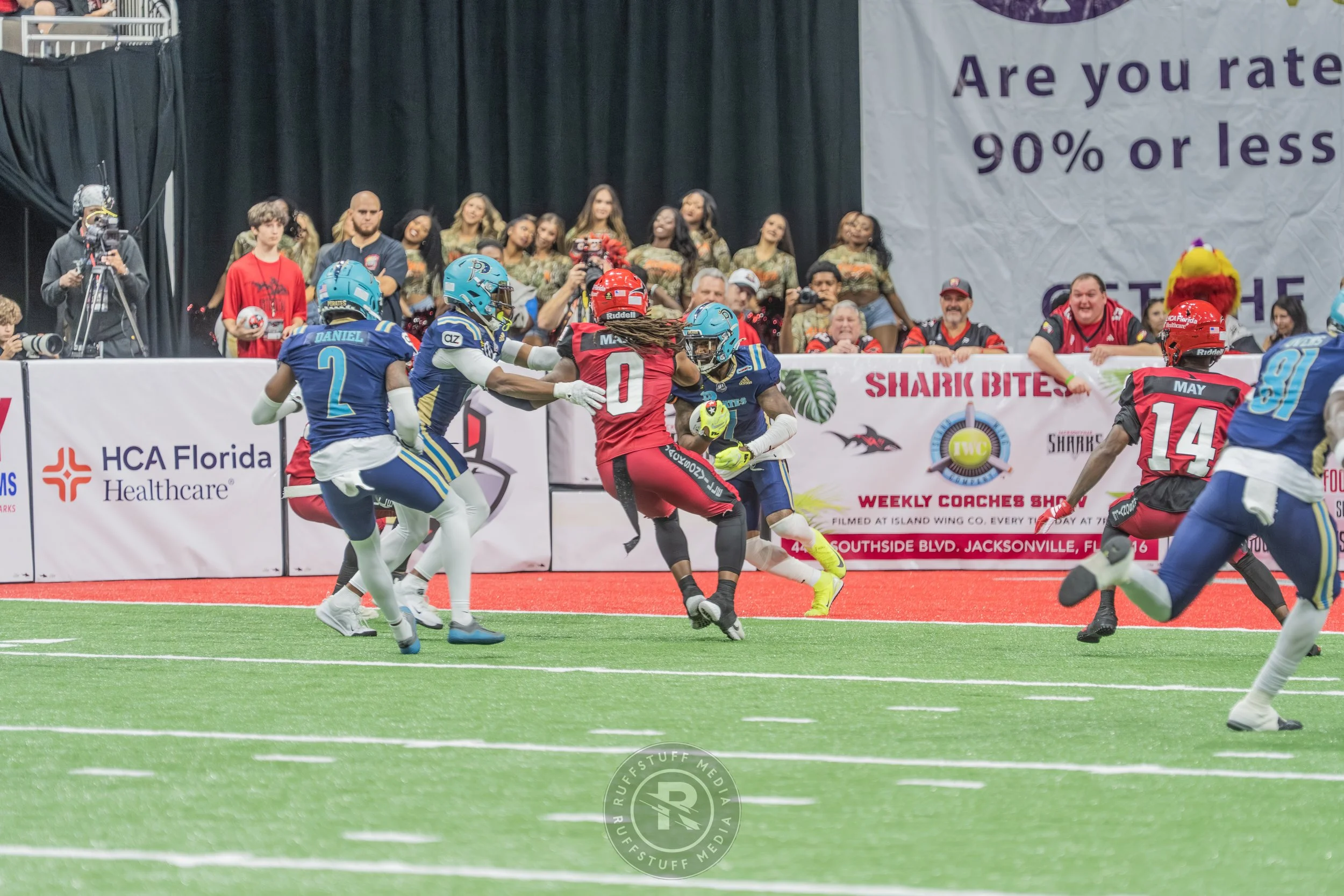 Sharks 260417-530.JPG