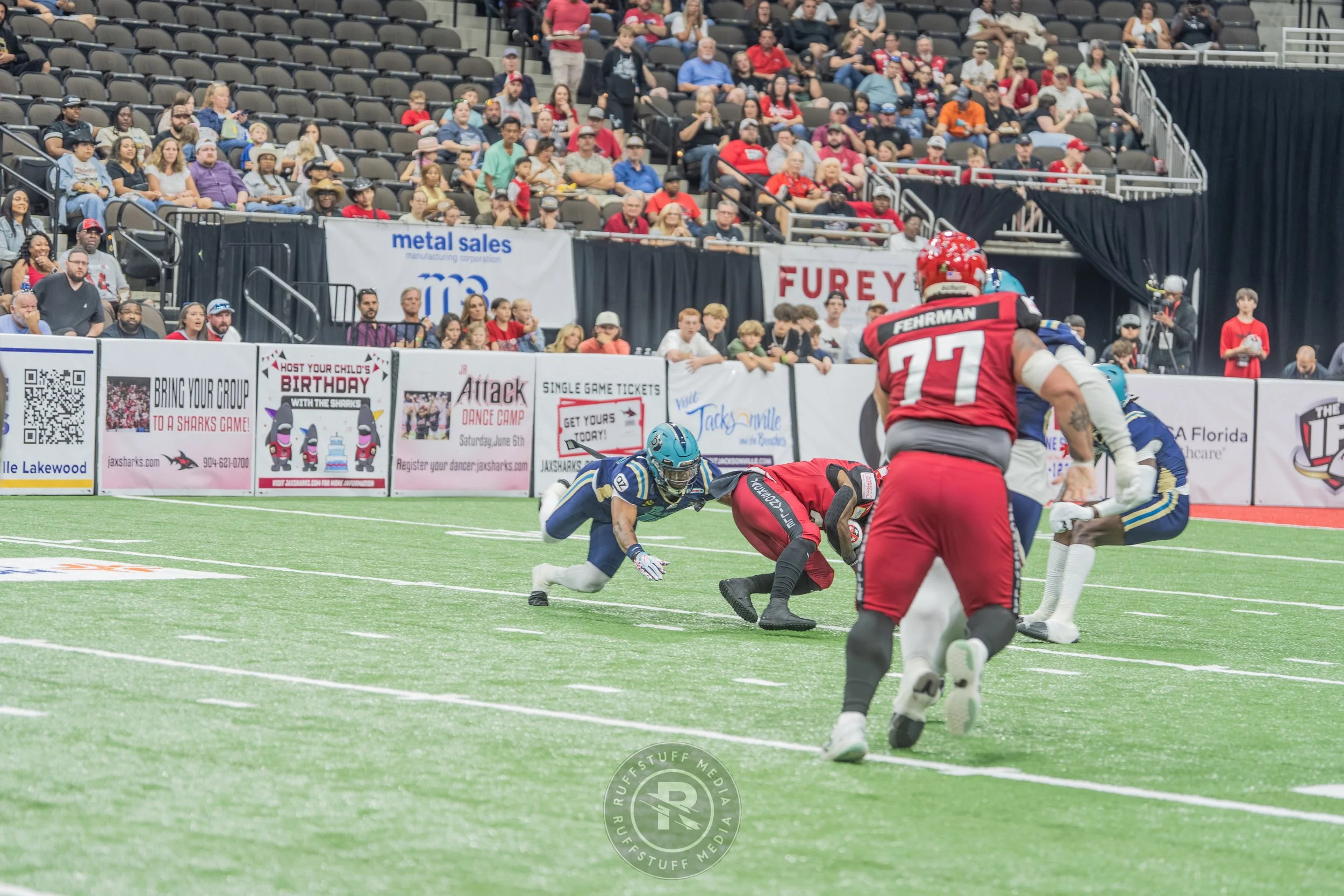 Sharks 260417-223.JPG