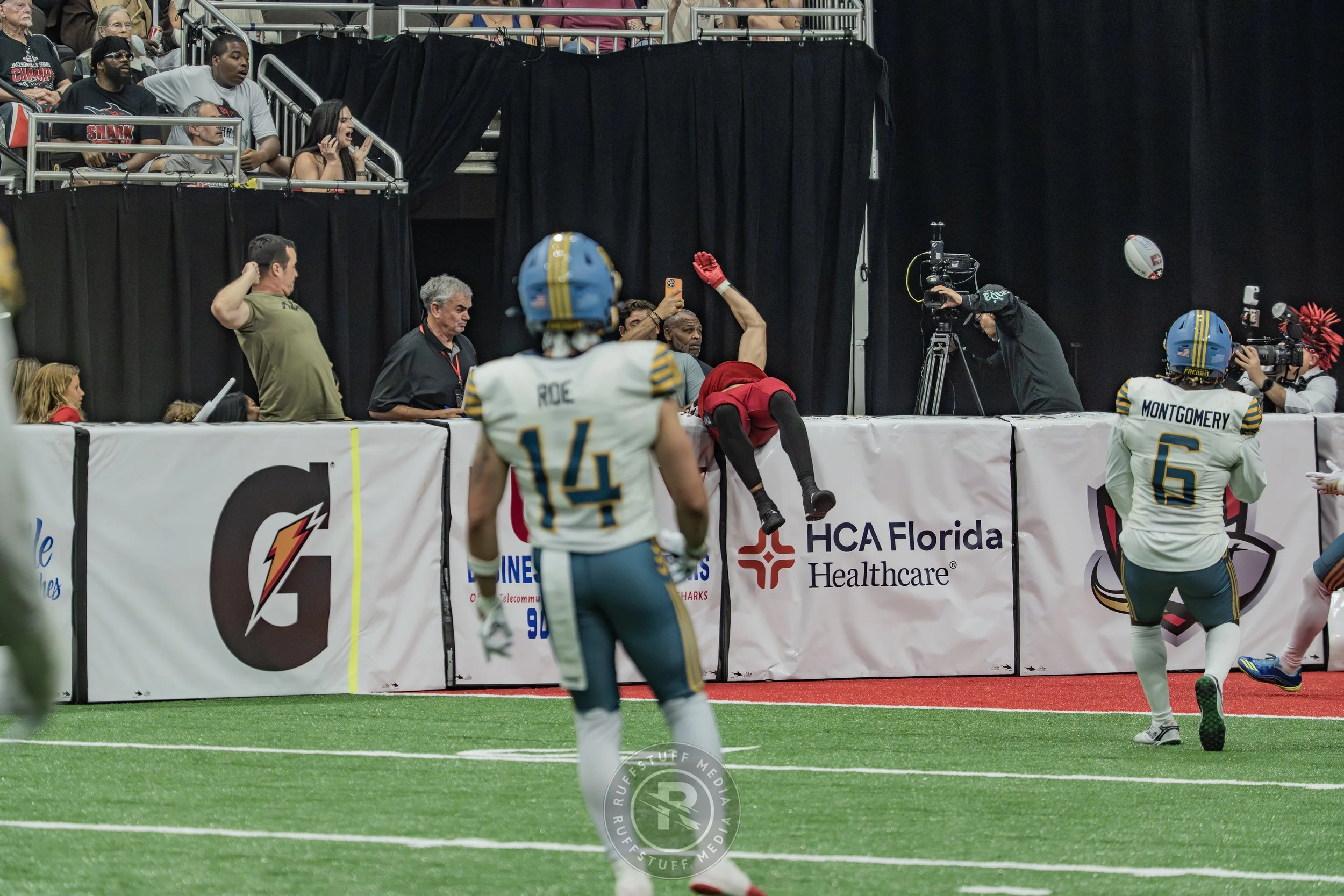 Sharks 260530-597.JPG