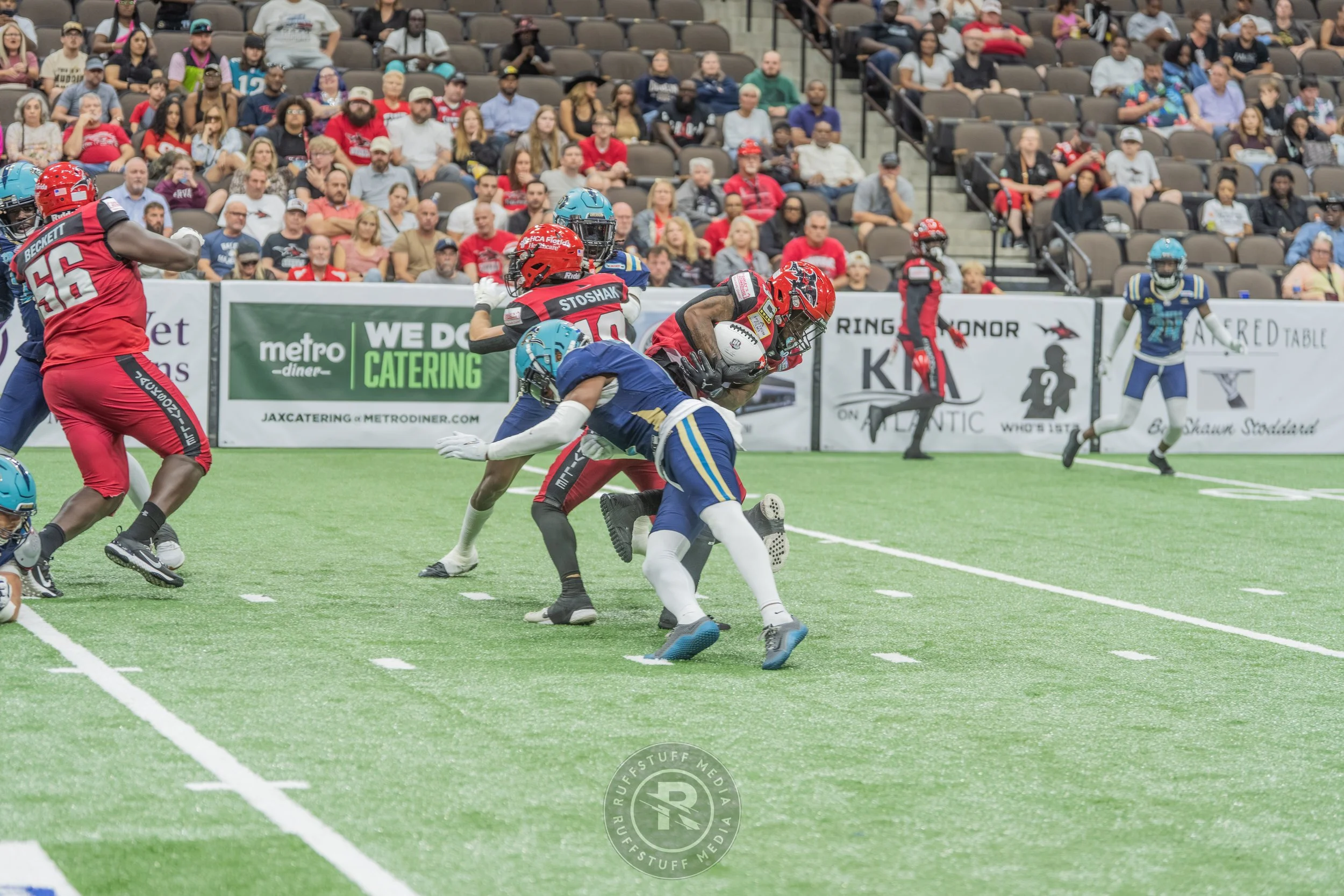 Sharks 260417-488.JPG