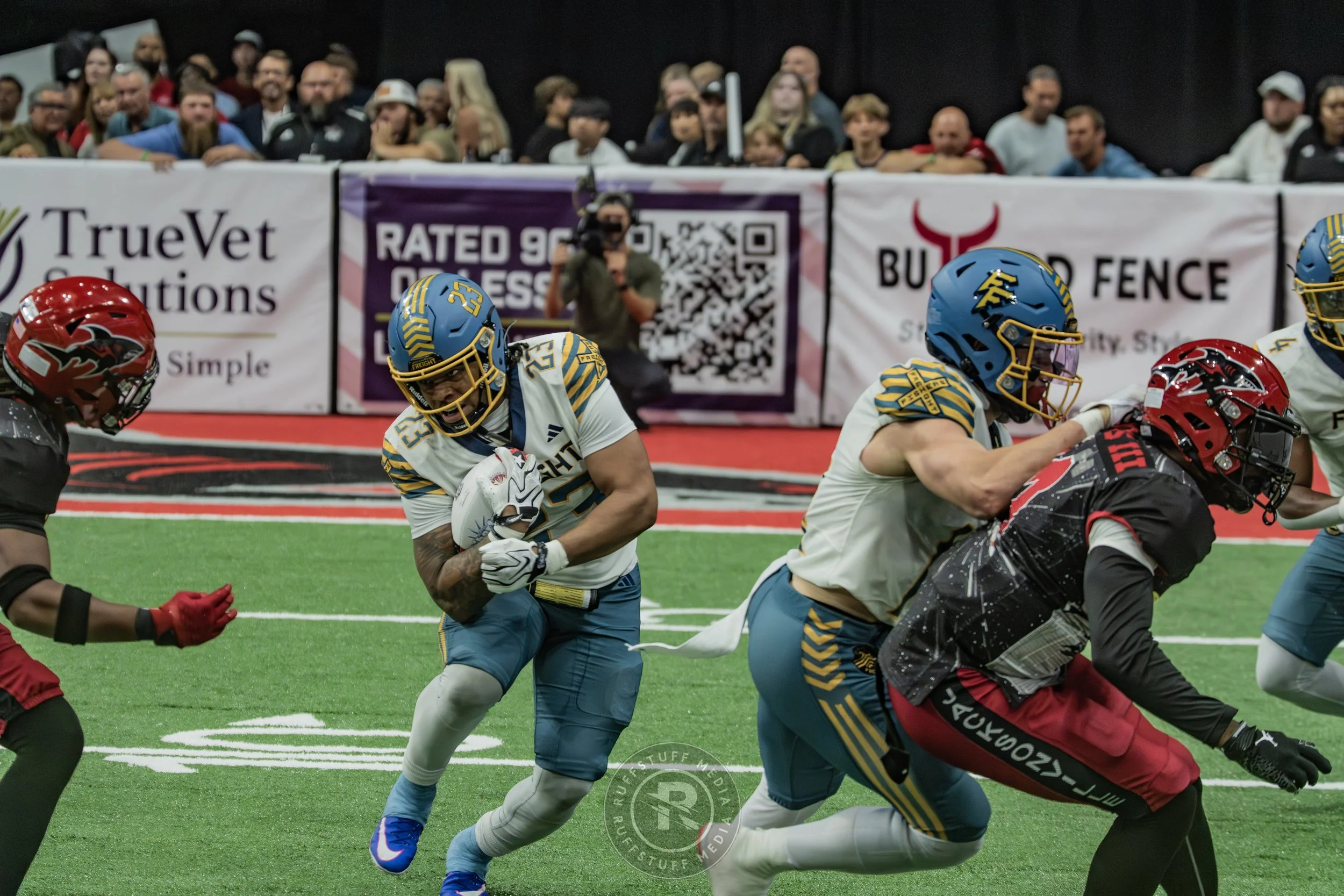 Sharks 260530-685.JPG