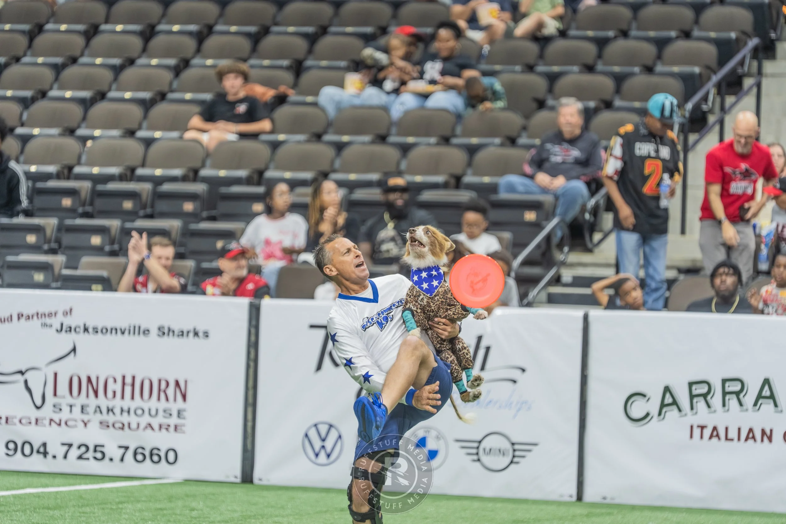 Sharks 260417-313.JPG