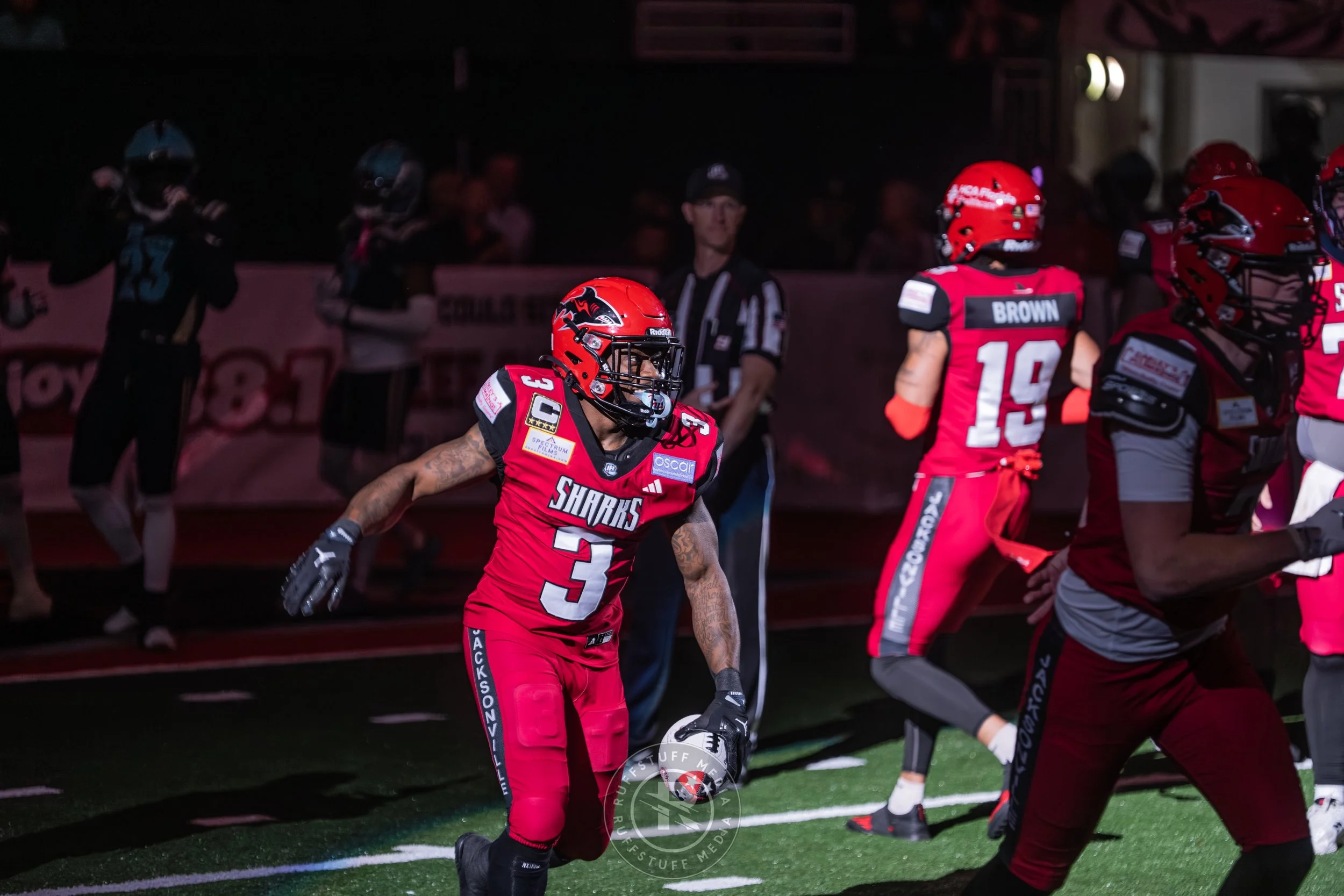 Sharks 260417-105.JPG