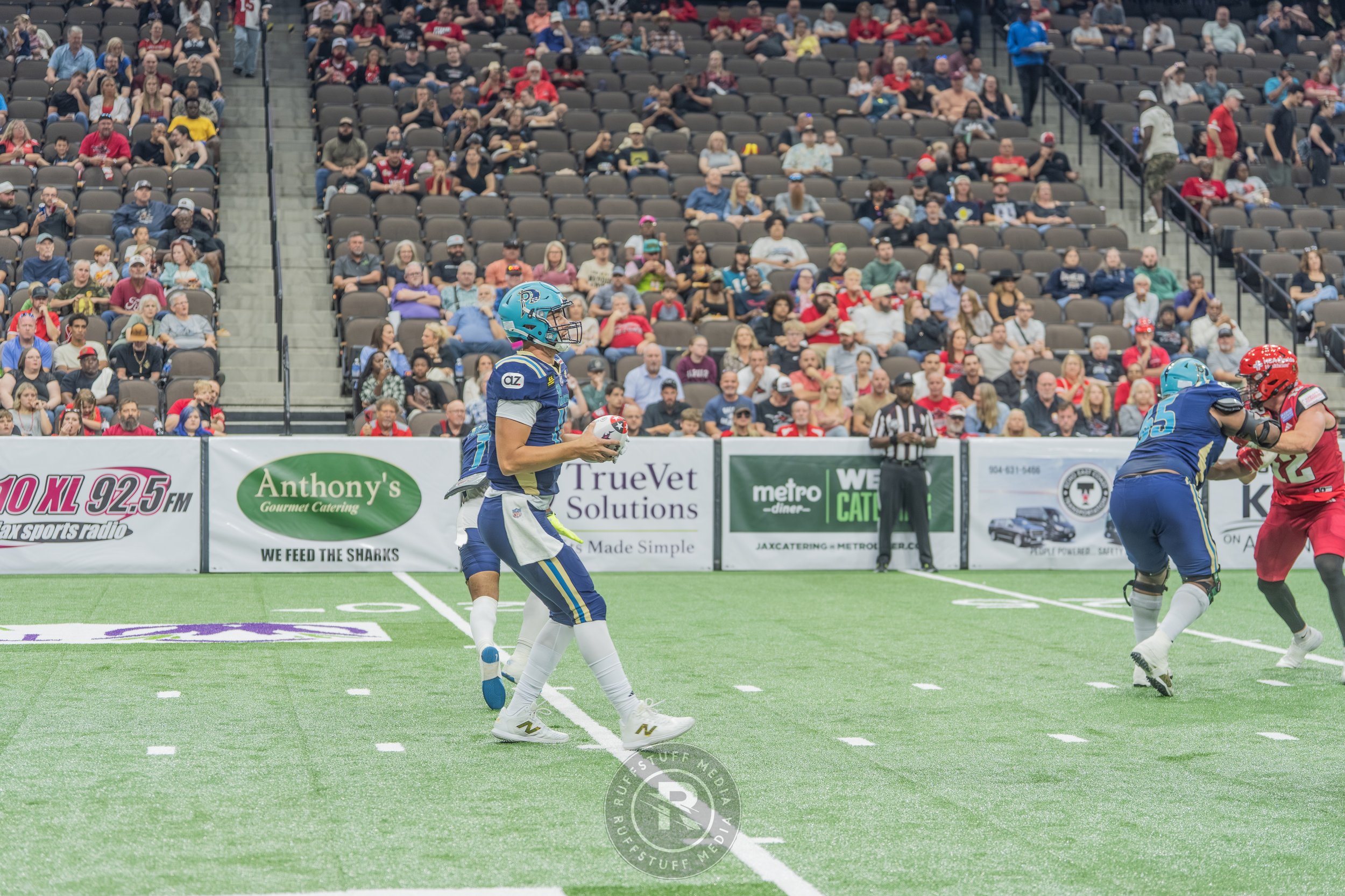 Sharks 260417-155_resize.JPG