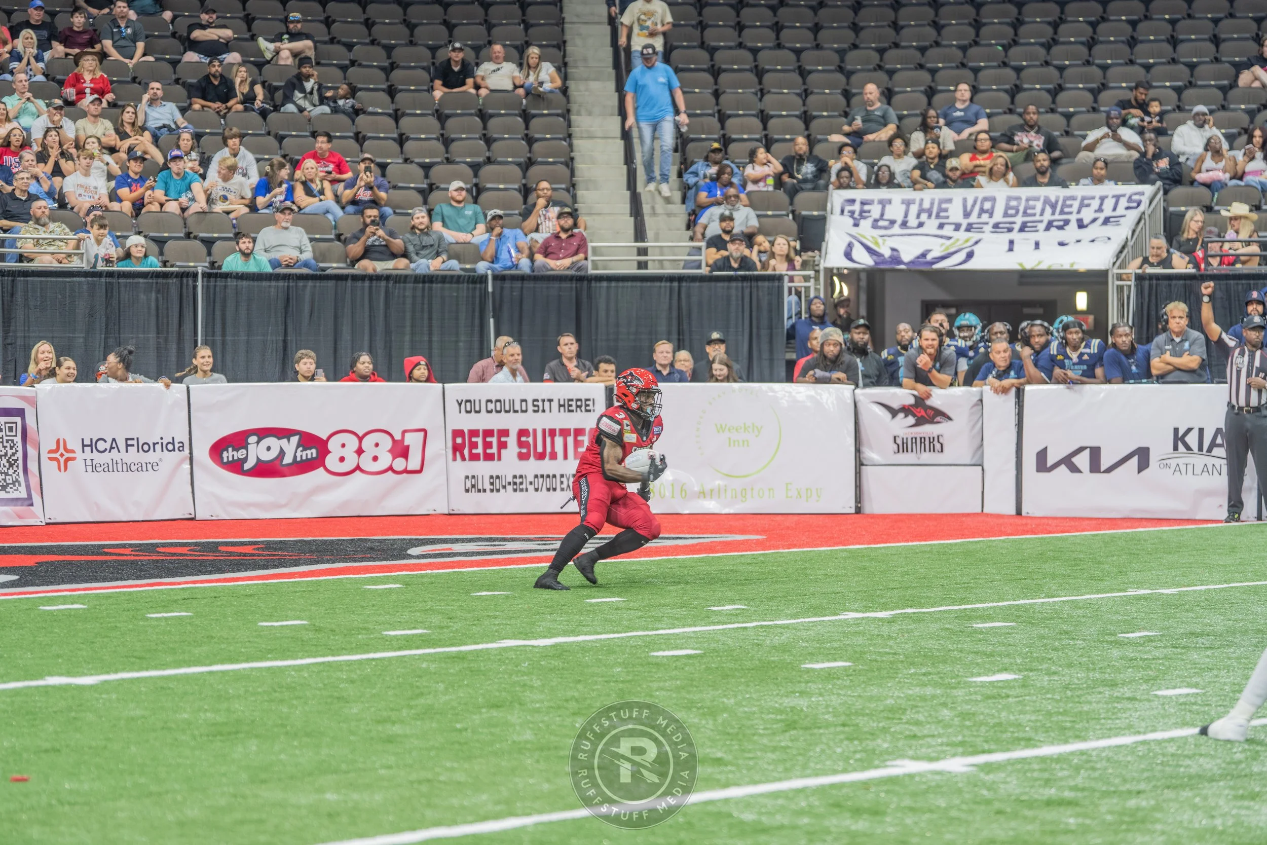 Sharks 260417-160.JPG