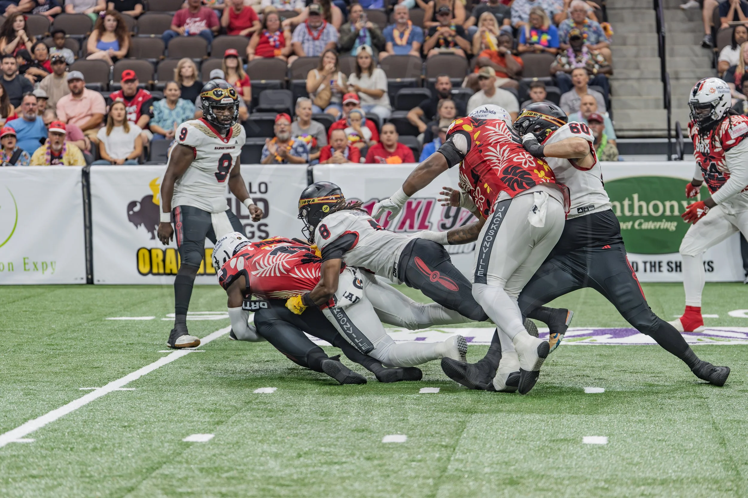 Sharks 260718-48.JPG