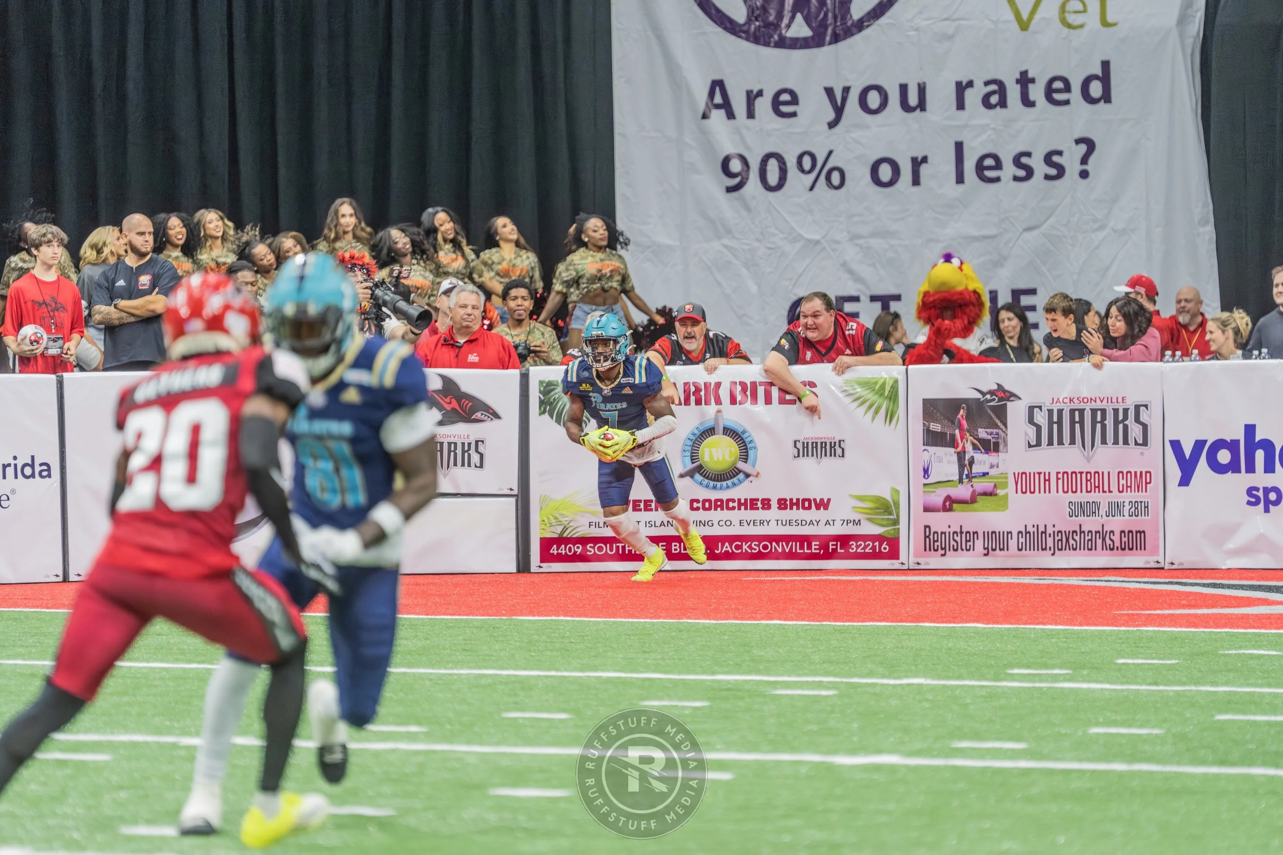 Sharks 260417-529_resize.JPG