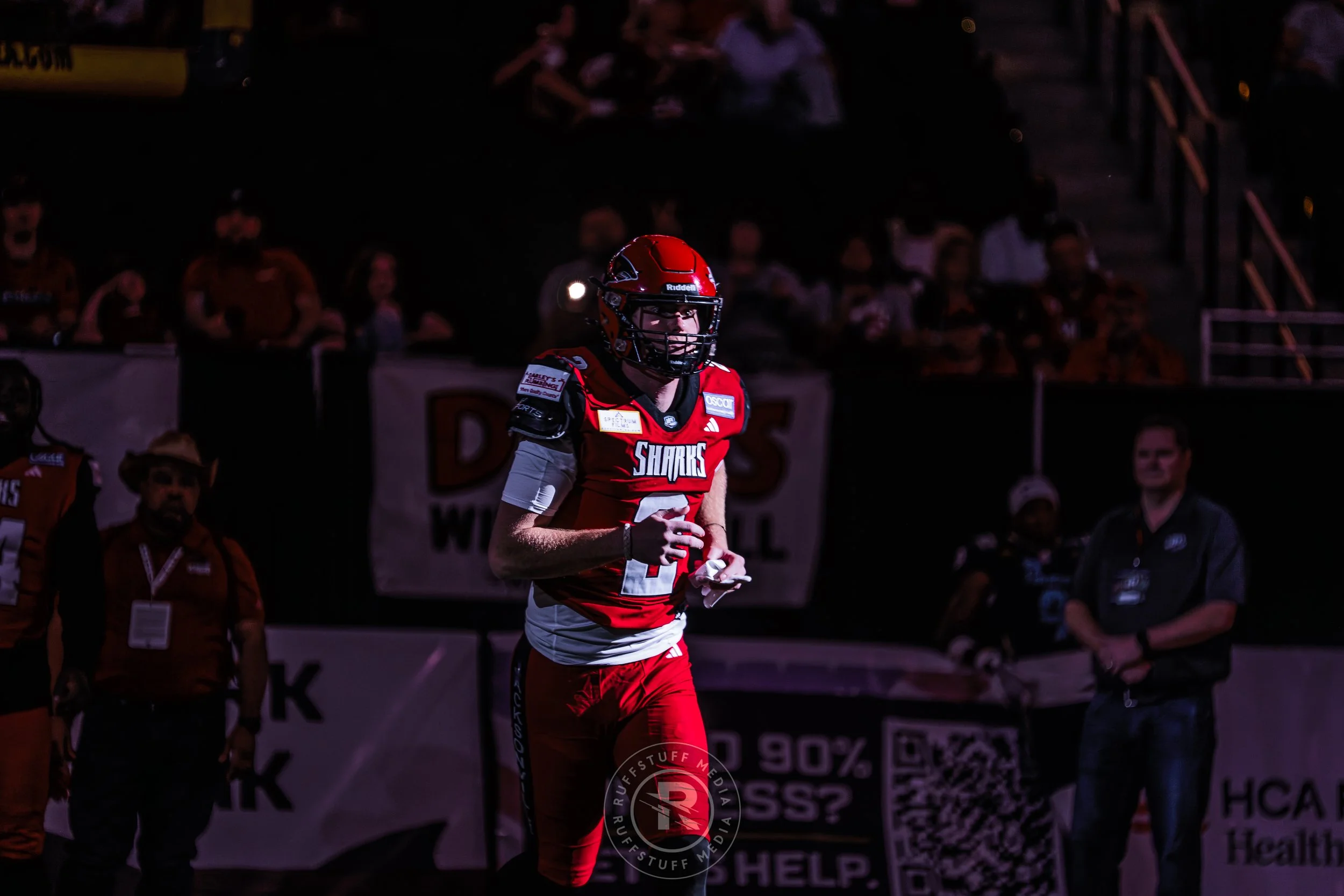 Sharks 260417-84.JPG