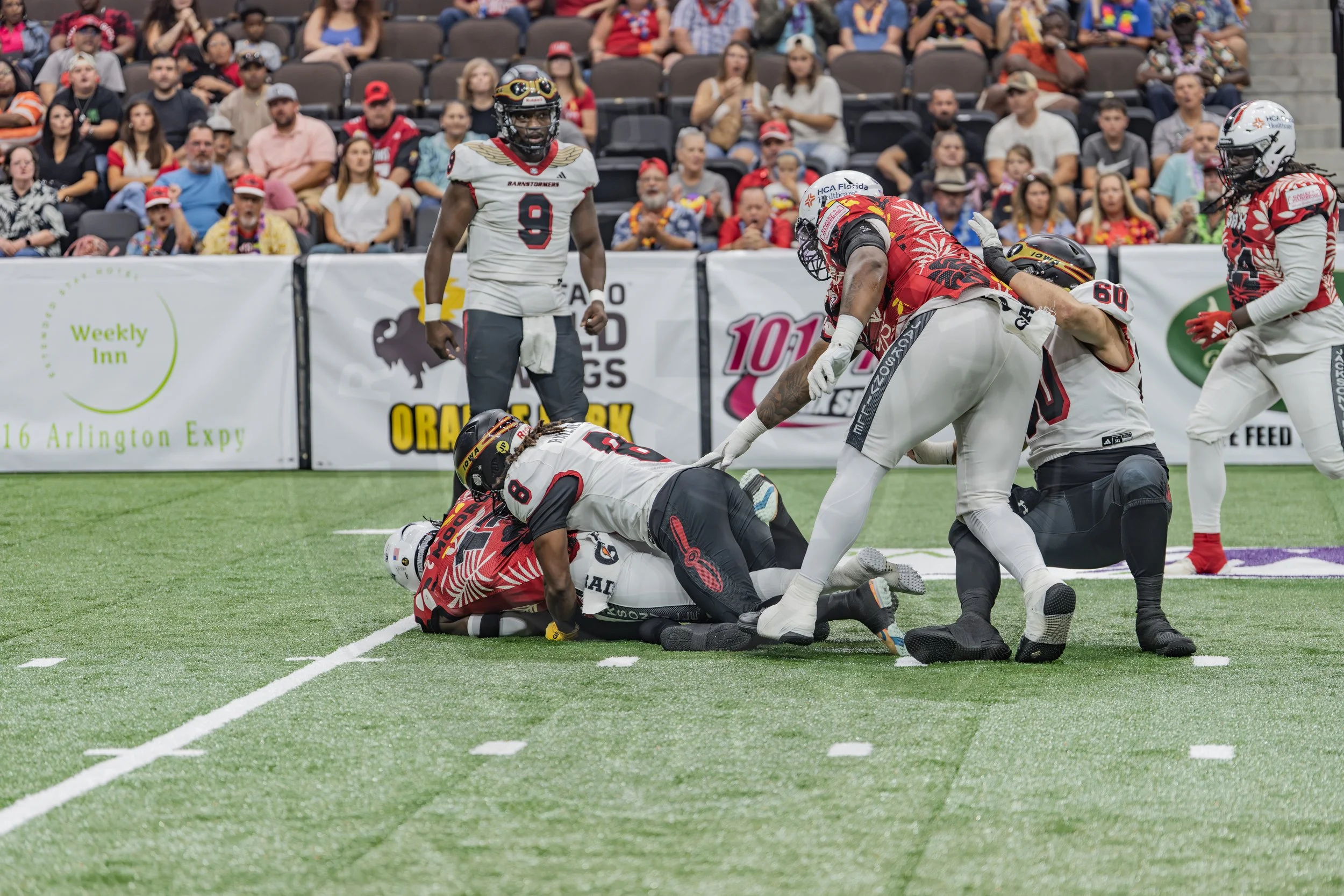 Sharks 260718-49.JPG