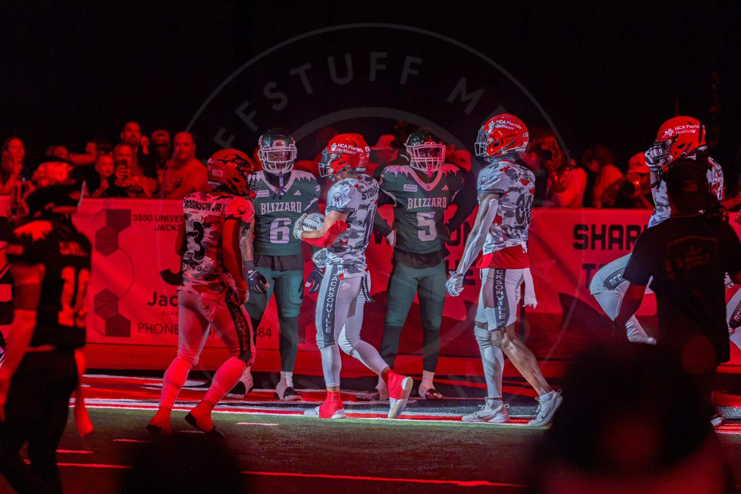 Sharks 260726-157.JPG