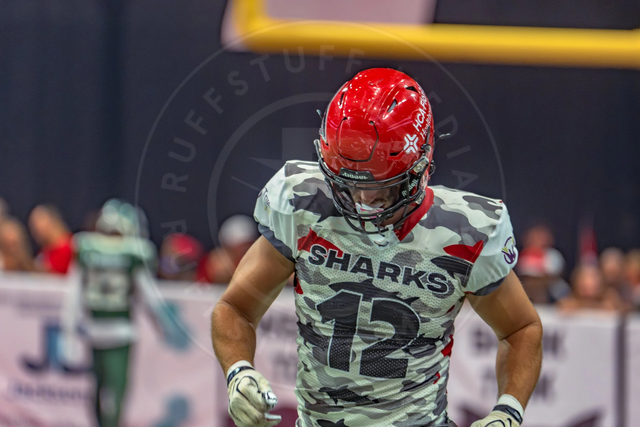 Sharks 260726-160.JPG