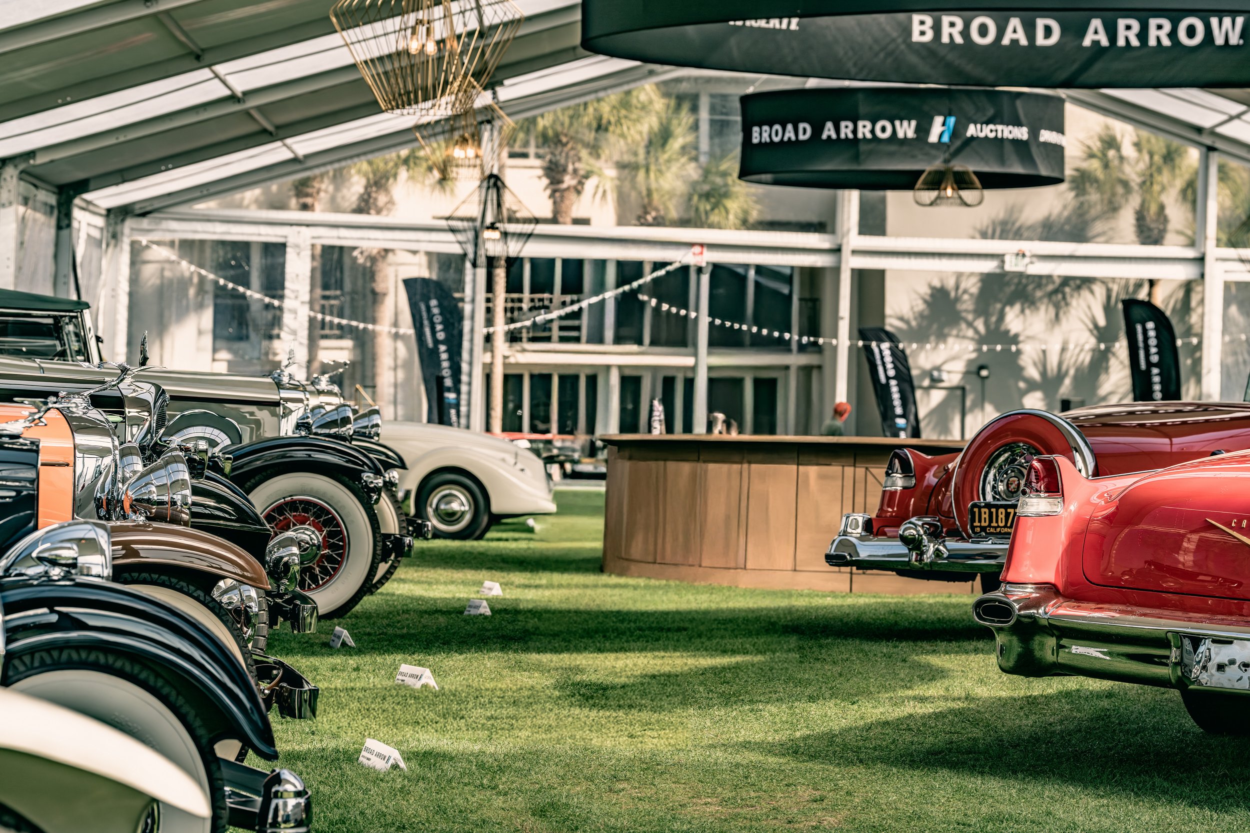 IG-Amelia 260305-28_resize.JPG