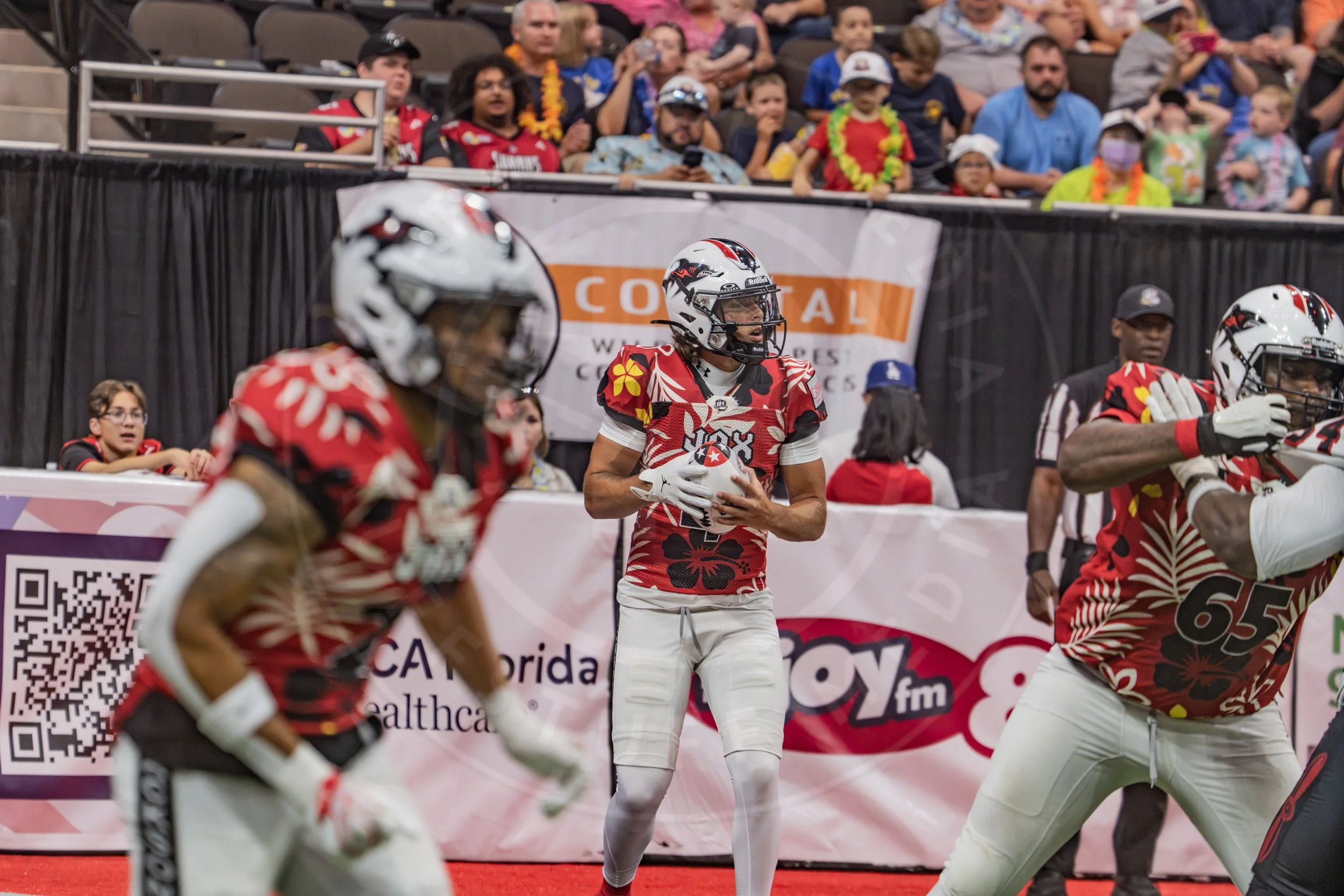 Sharks 260718-100.JPG