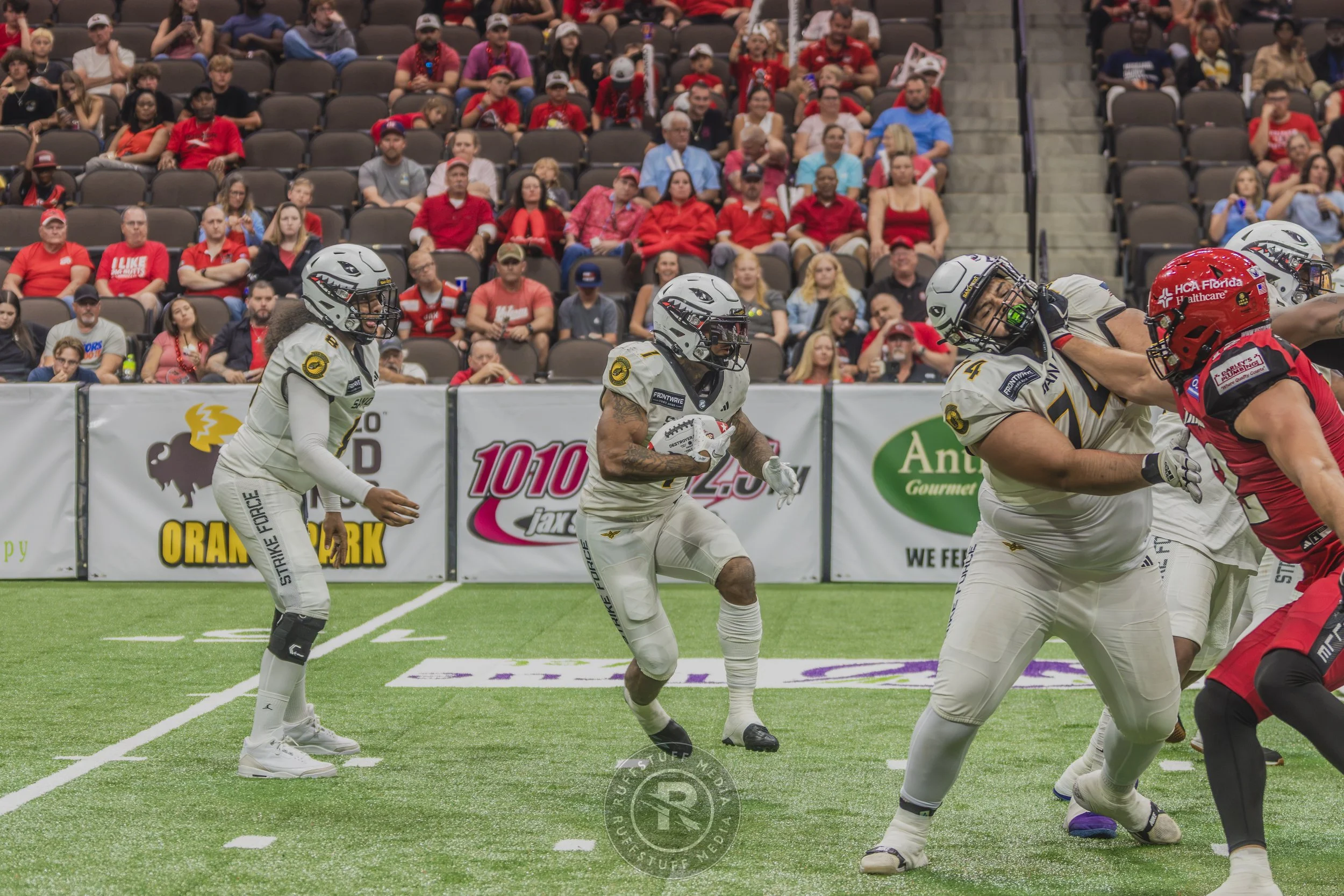 Sharks 260628-434.JPG