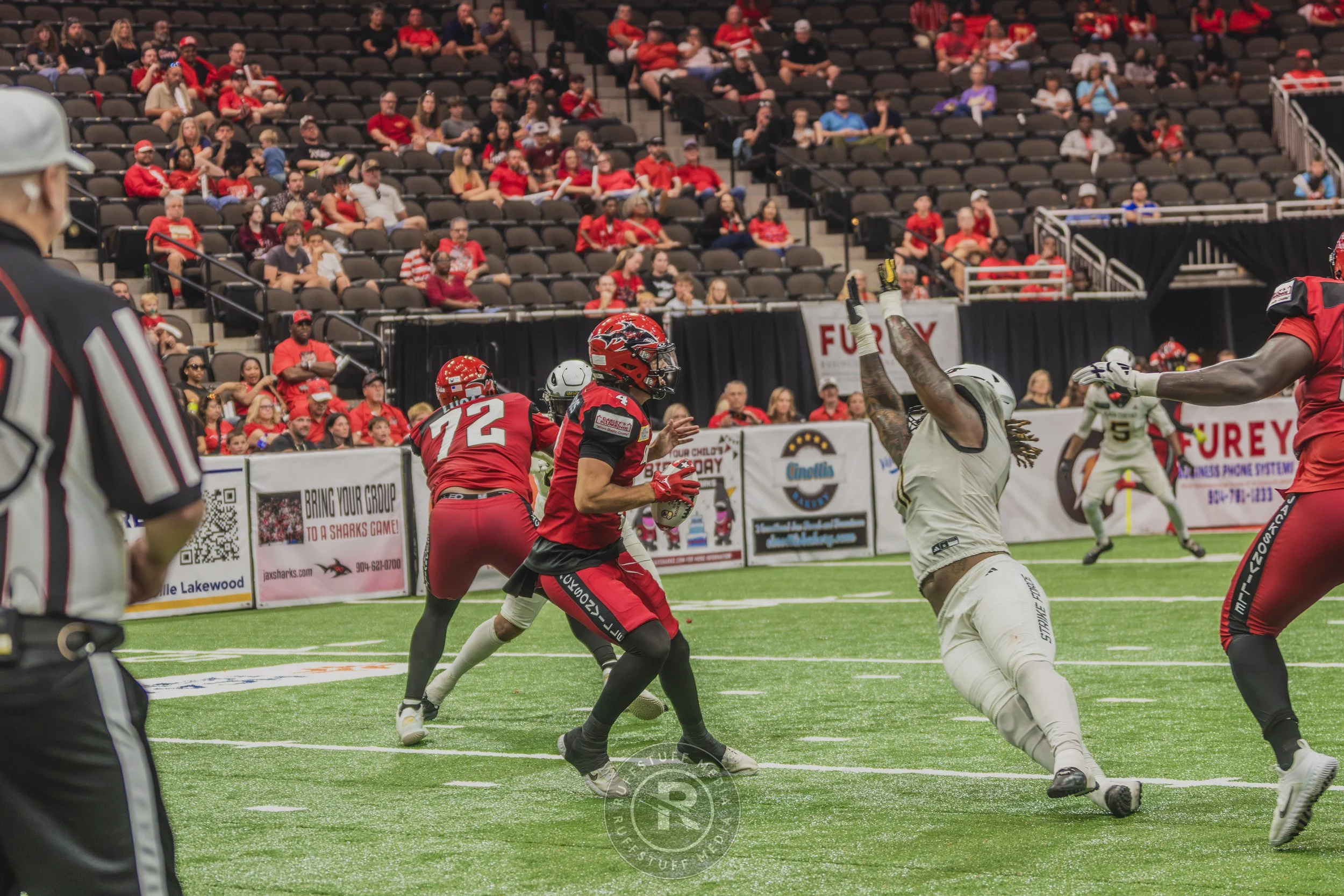 Sharks 260628-590.JPG