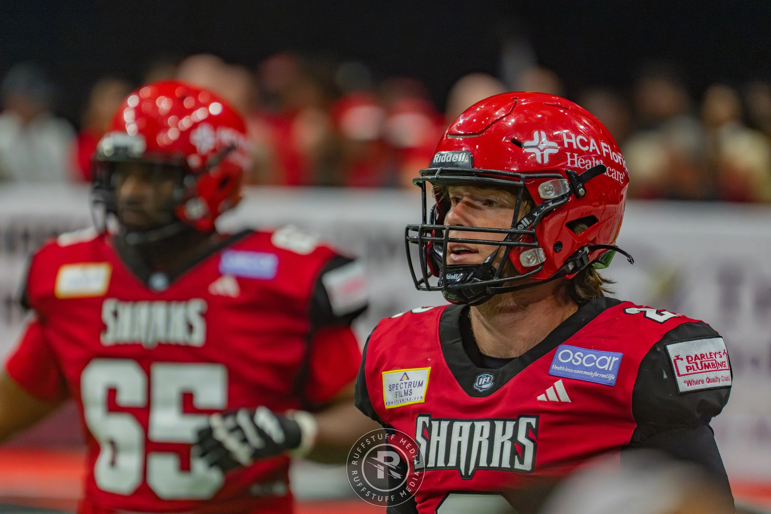 Sharks 260606-471.jpg