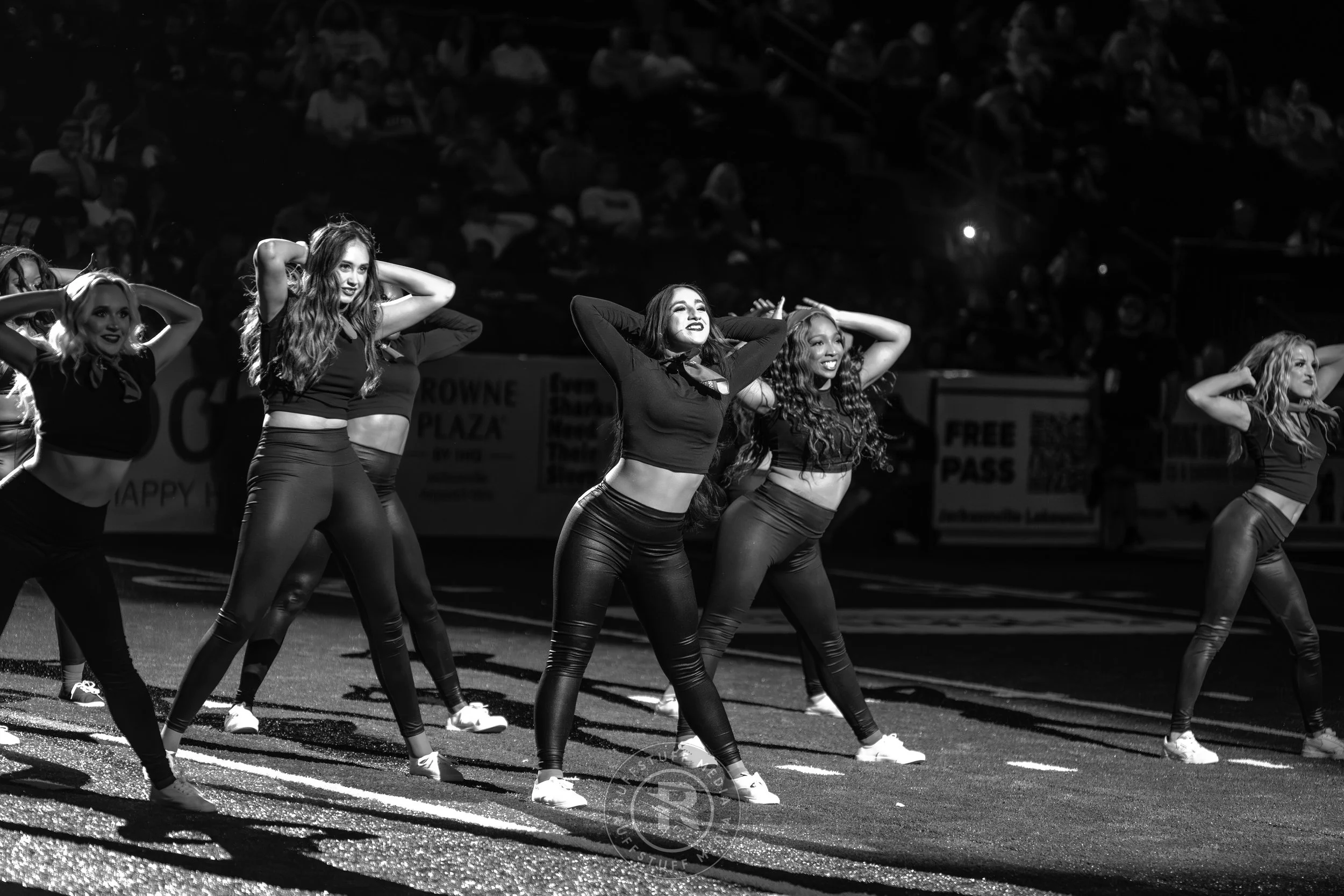 Sharks 260509-433.JPG