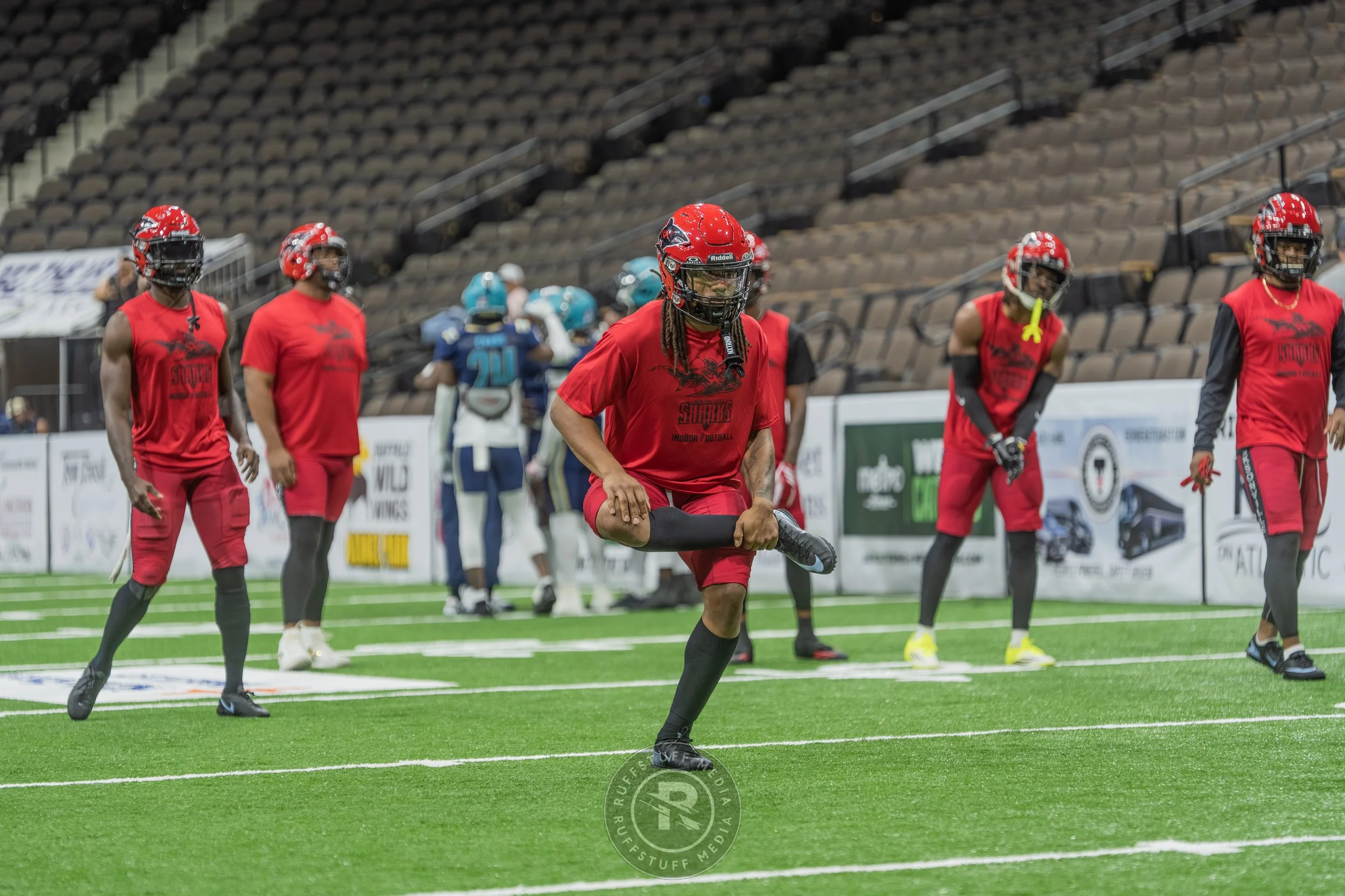 Sharks 260417-64.JPG