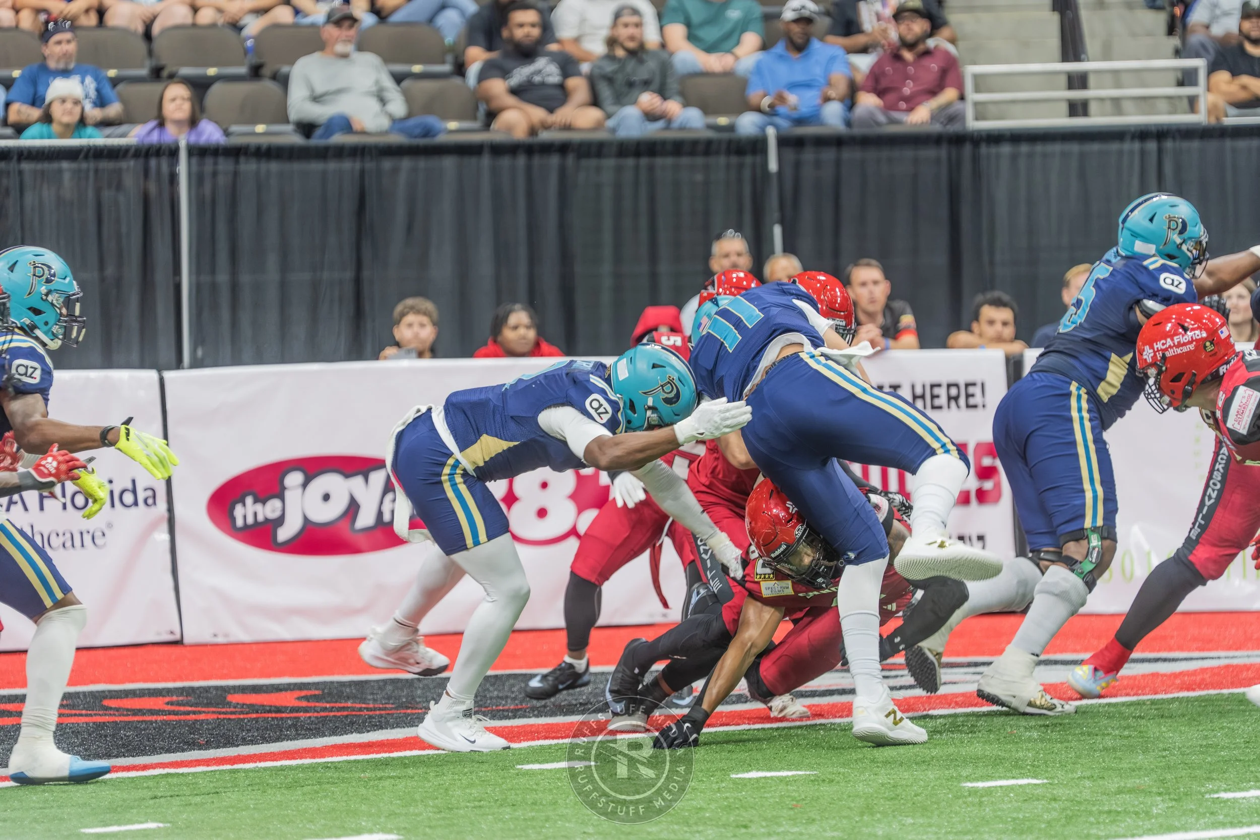 Sharks 260417-244.JPG