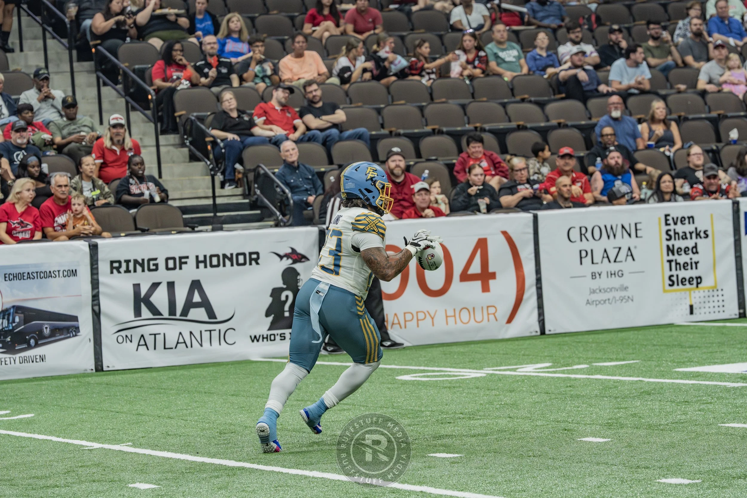Sharks 260530-459.JPG