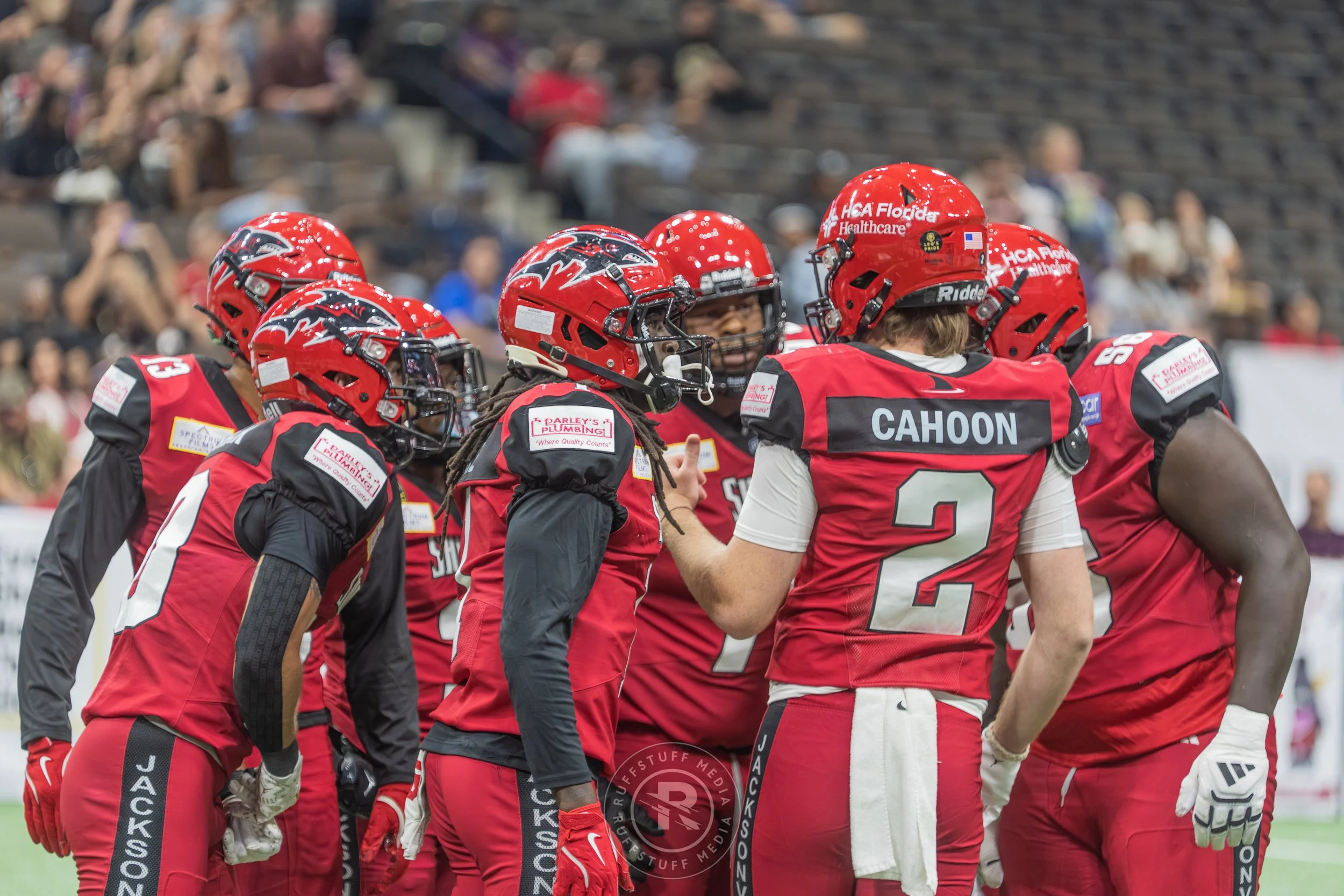 Sharks 260417-218.JPG