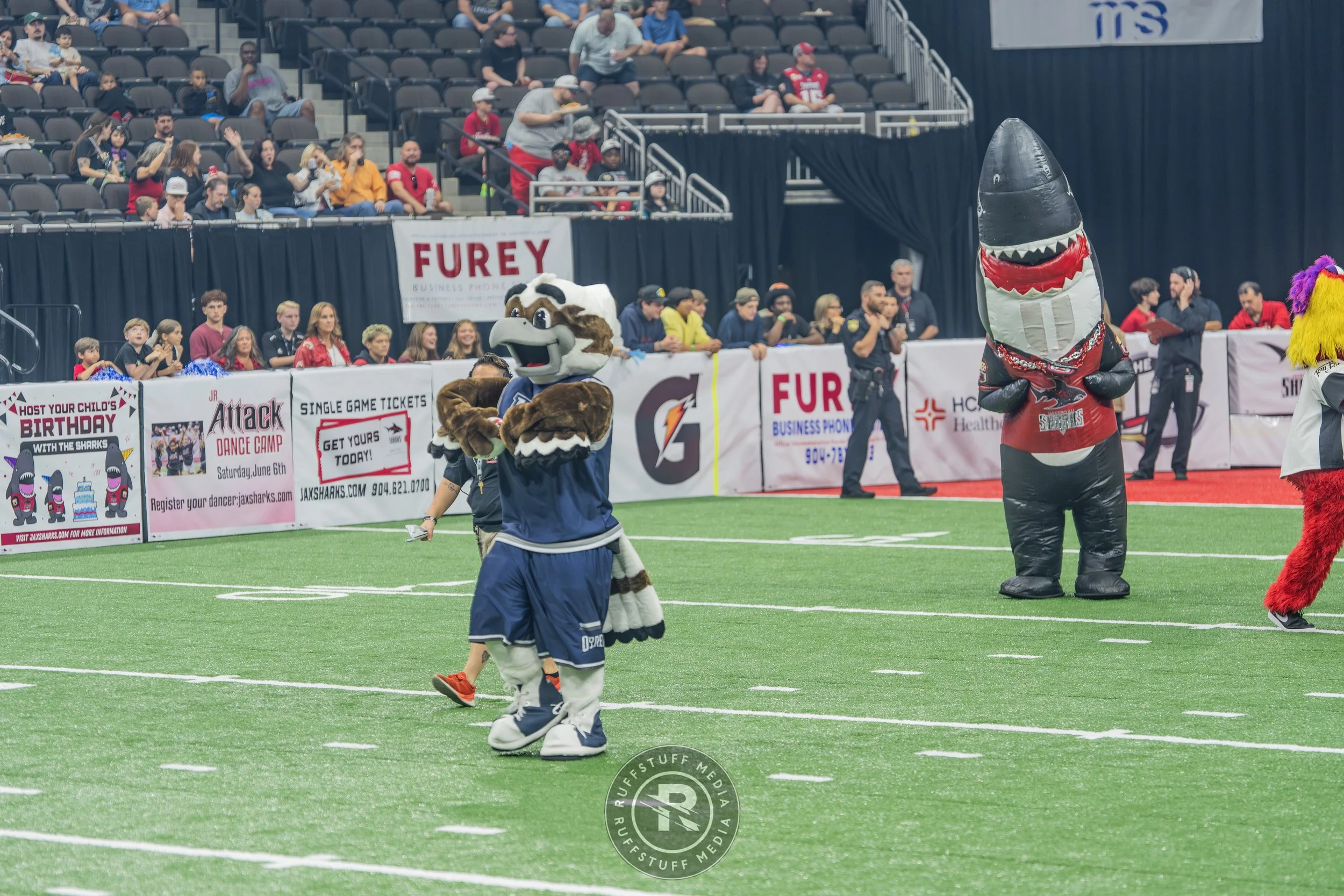 Sharks 260502-69_resize.JPG