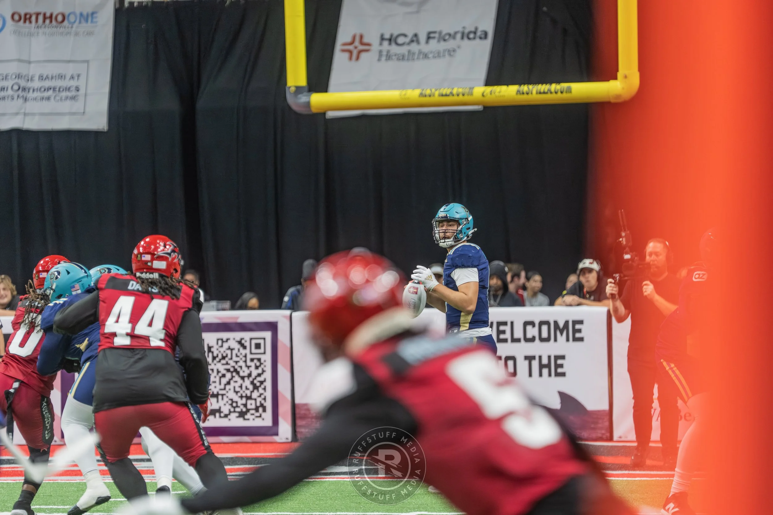 Sharks 260417-457_resize.JPG