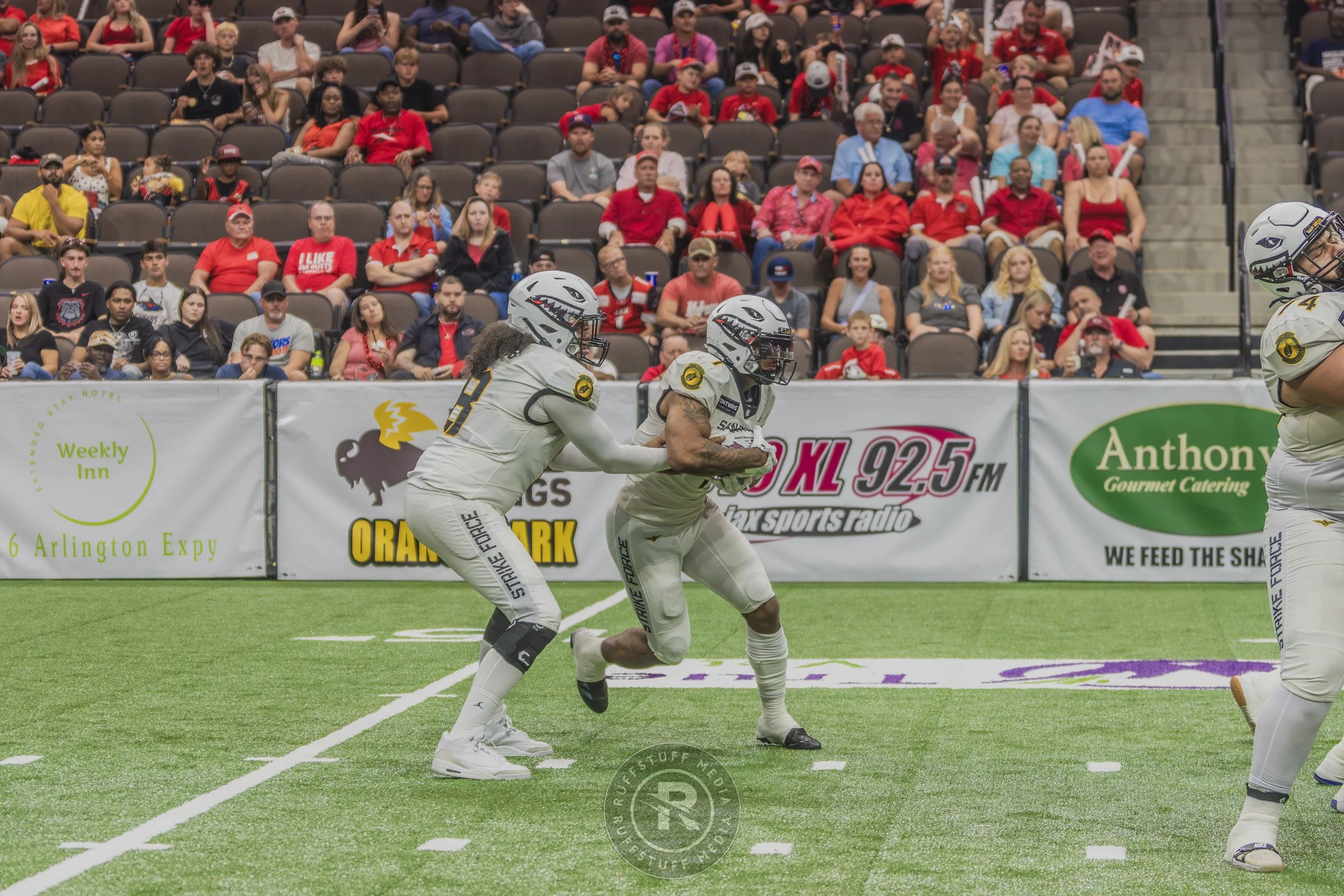 Sharks 260628-432.JPG