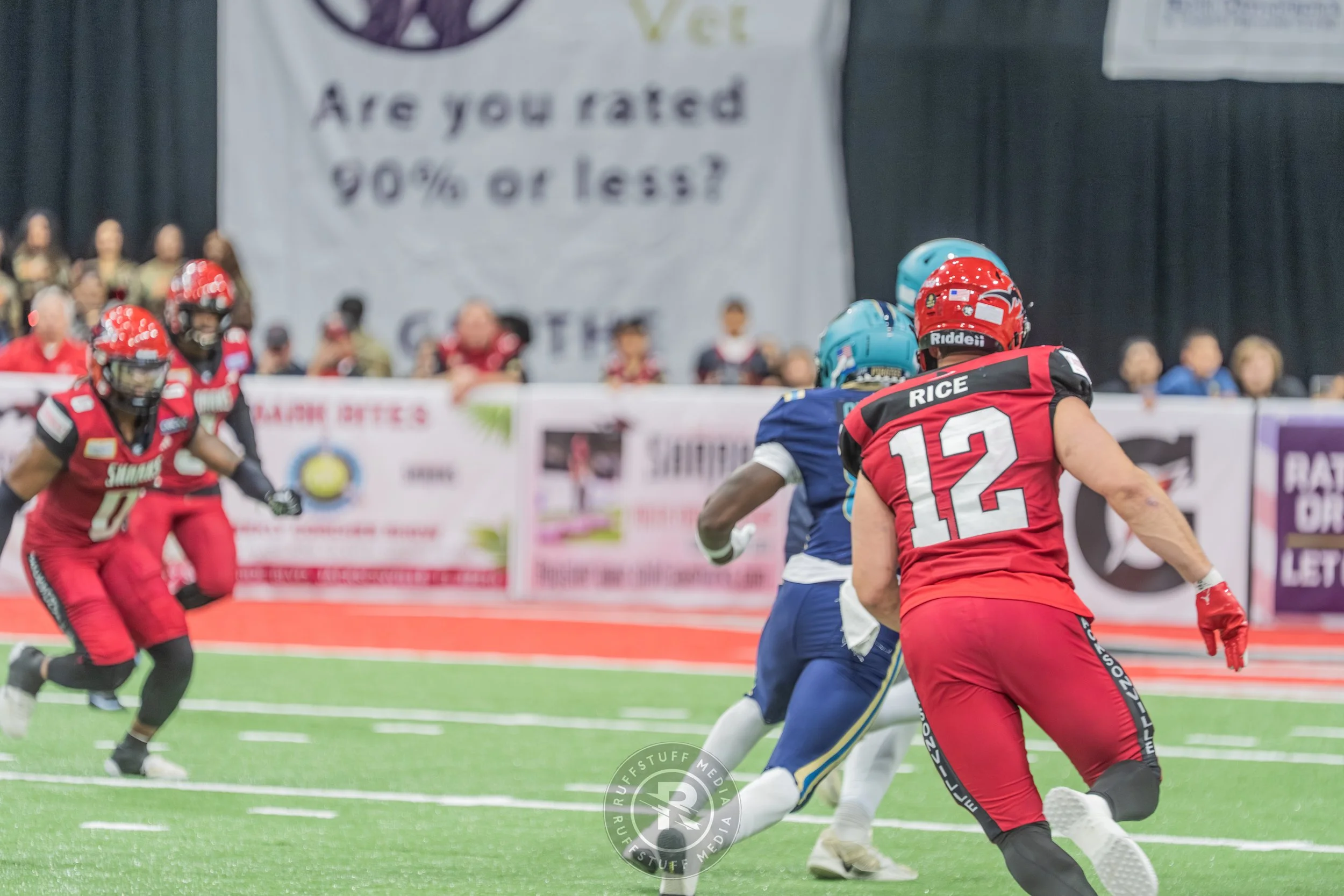 Sharks 260417-400.JPG