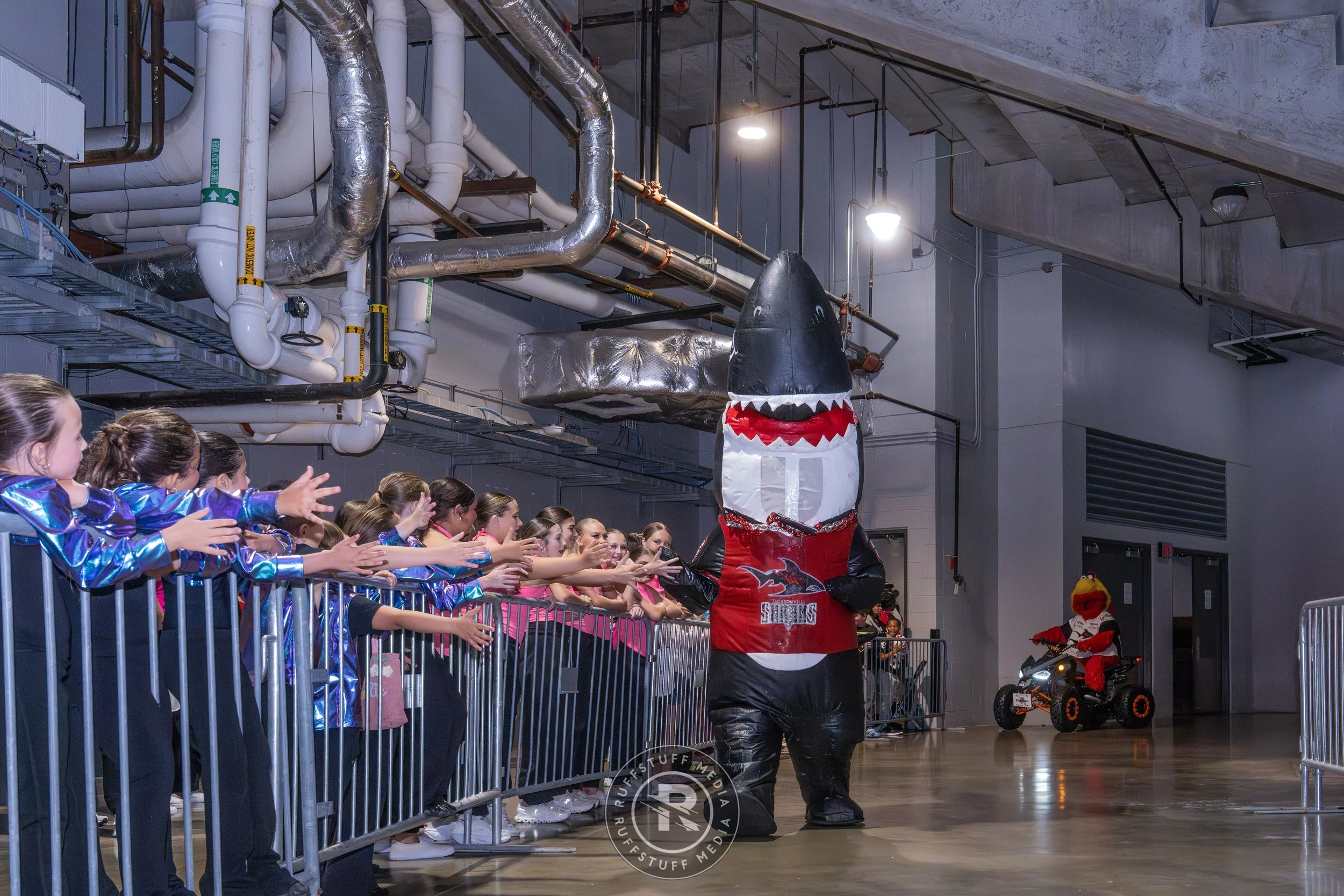 Sharks 260502-31_resize.JPG