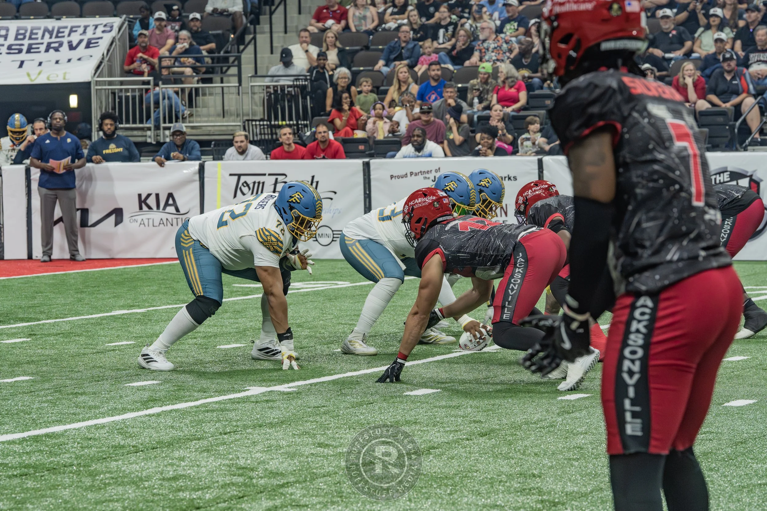 Sharks 260530-135.JPG