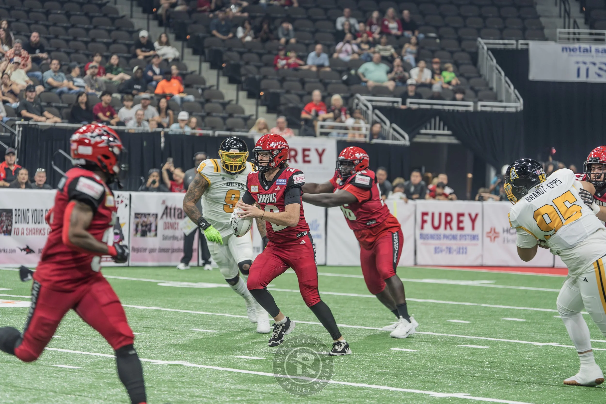 Sharks 260509-90.JPG
