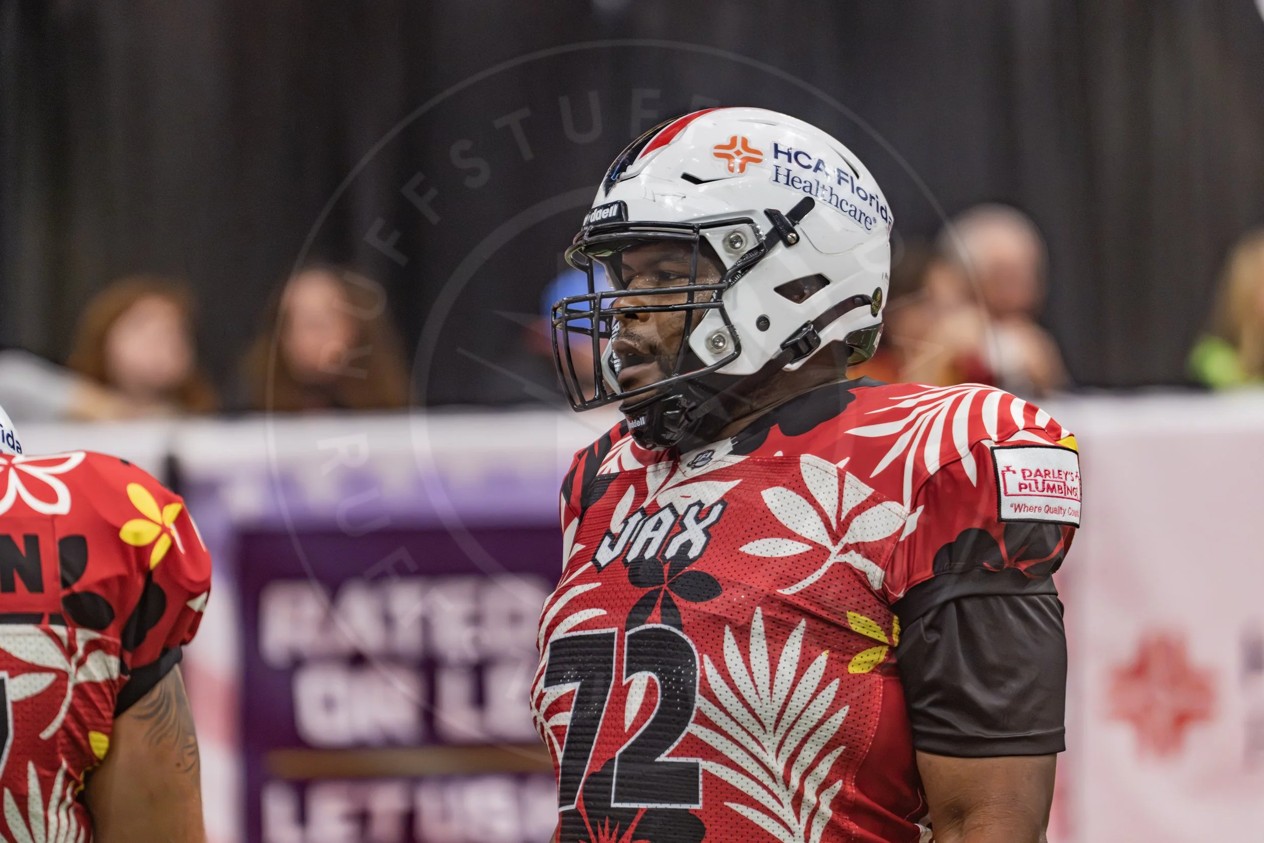 Sharks 260718-157.JPG
