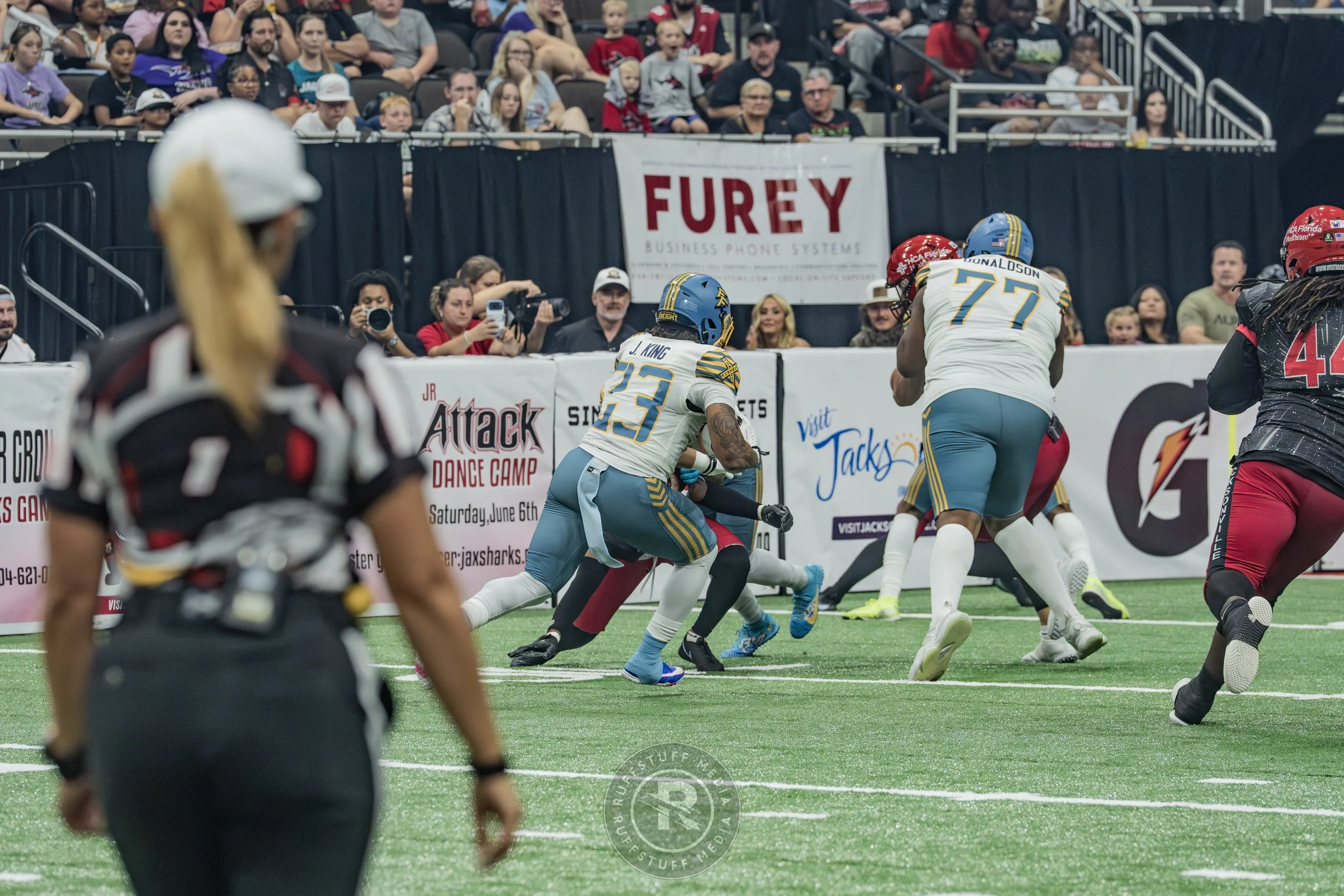 Sharks 260530-151.JPG