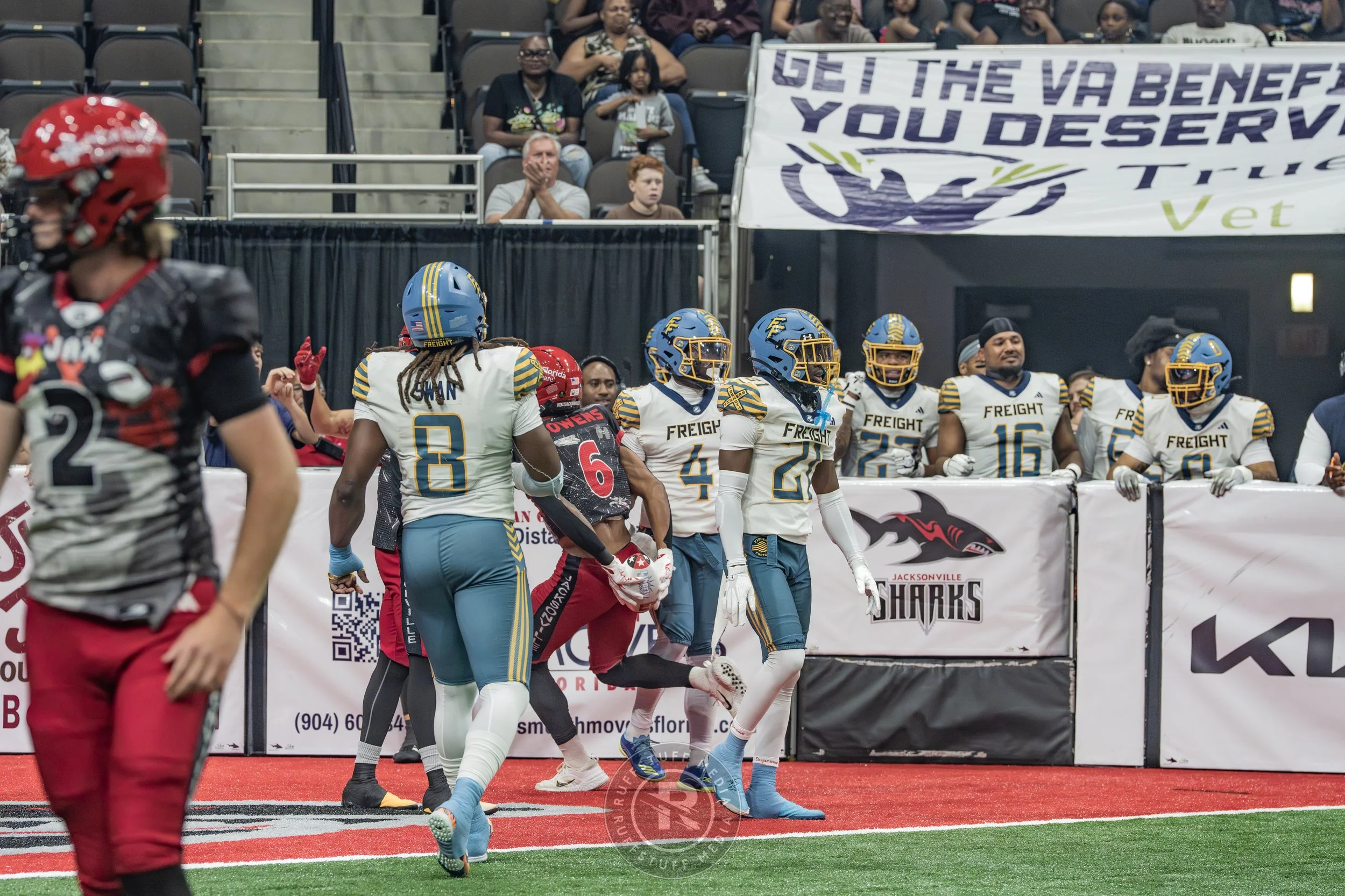 Sharks 260530-210.JPG