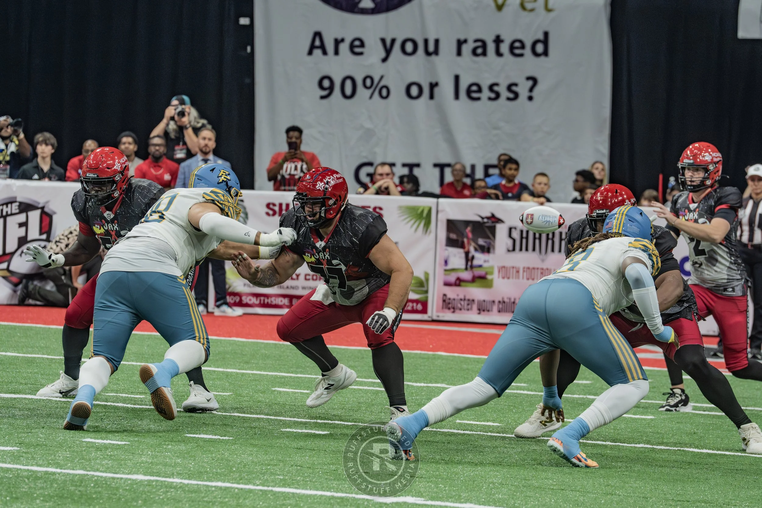Sharks 260530-500.JPG