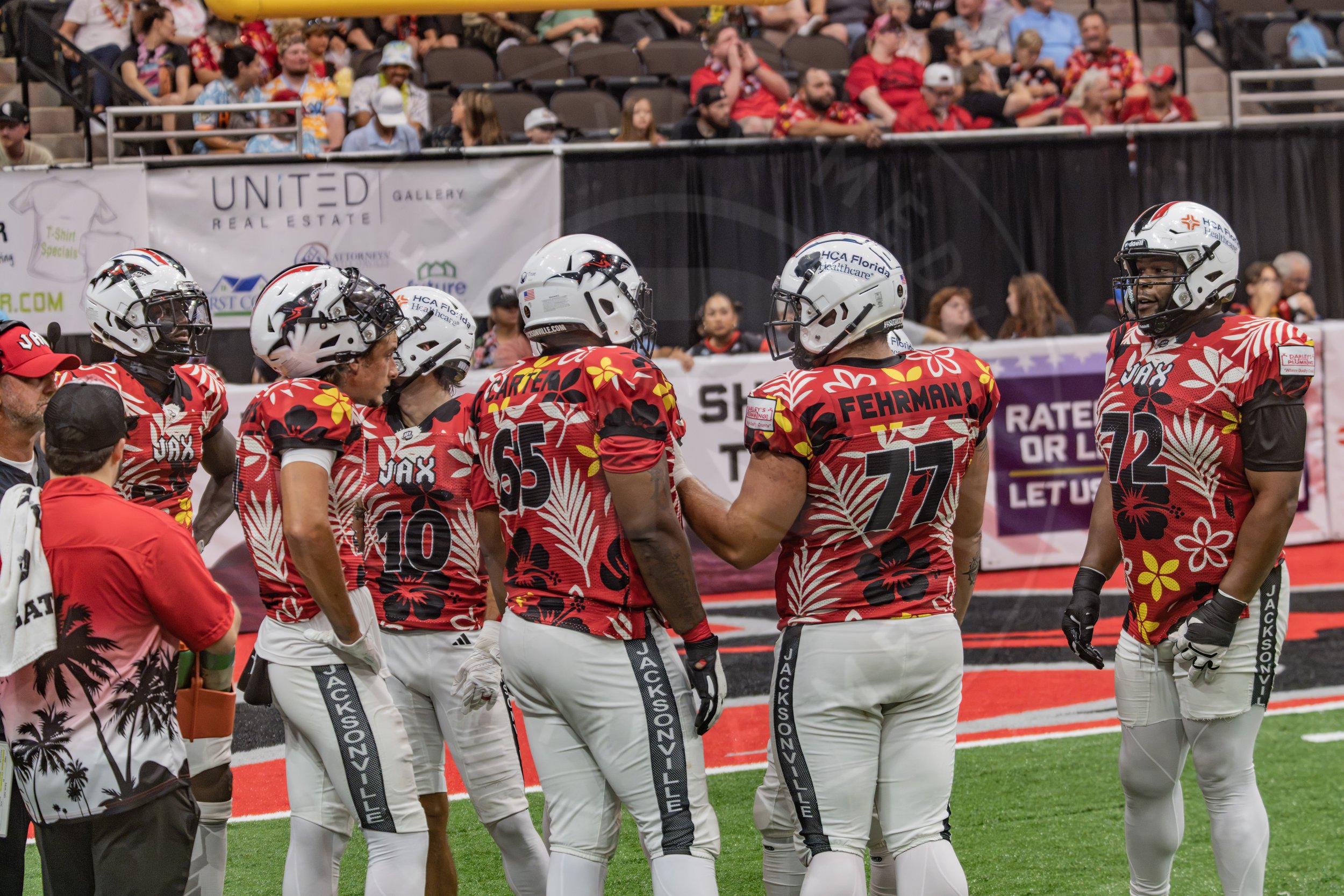 Sharks 260718-158.JPG
