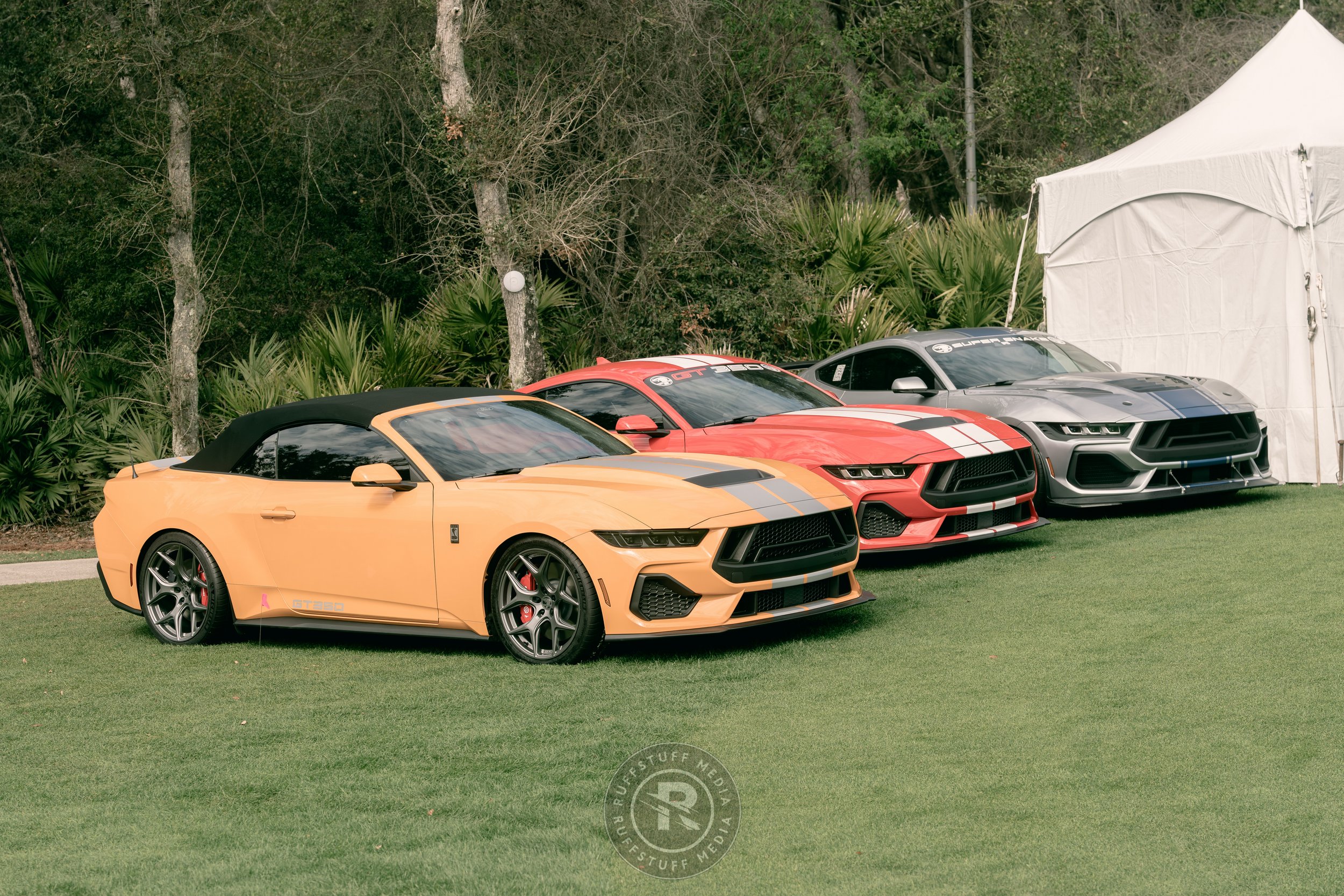 Amelia 260306-27_resize.JPG